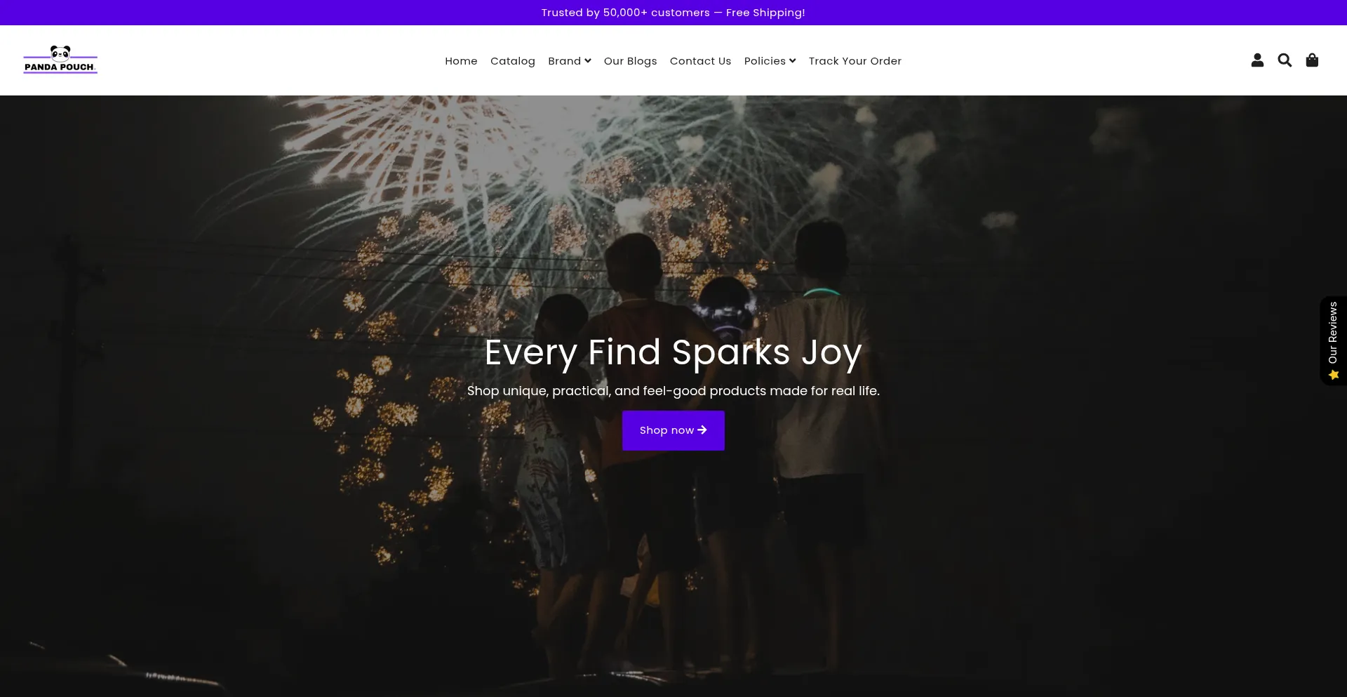 Website screenshot of Thepandapouch.com