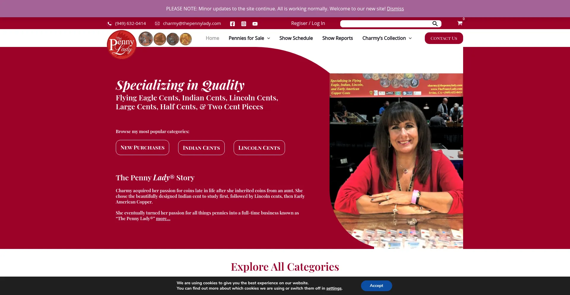 Website screenshot of Thepennylady.com