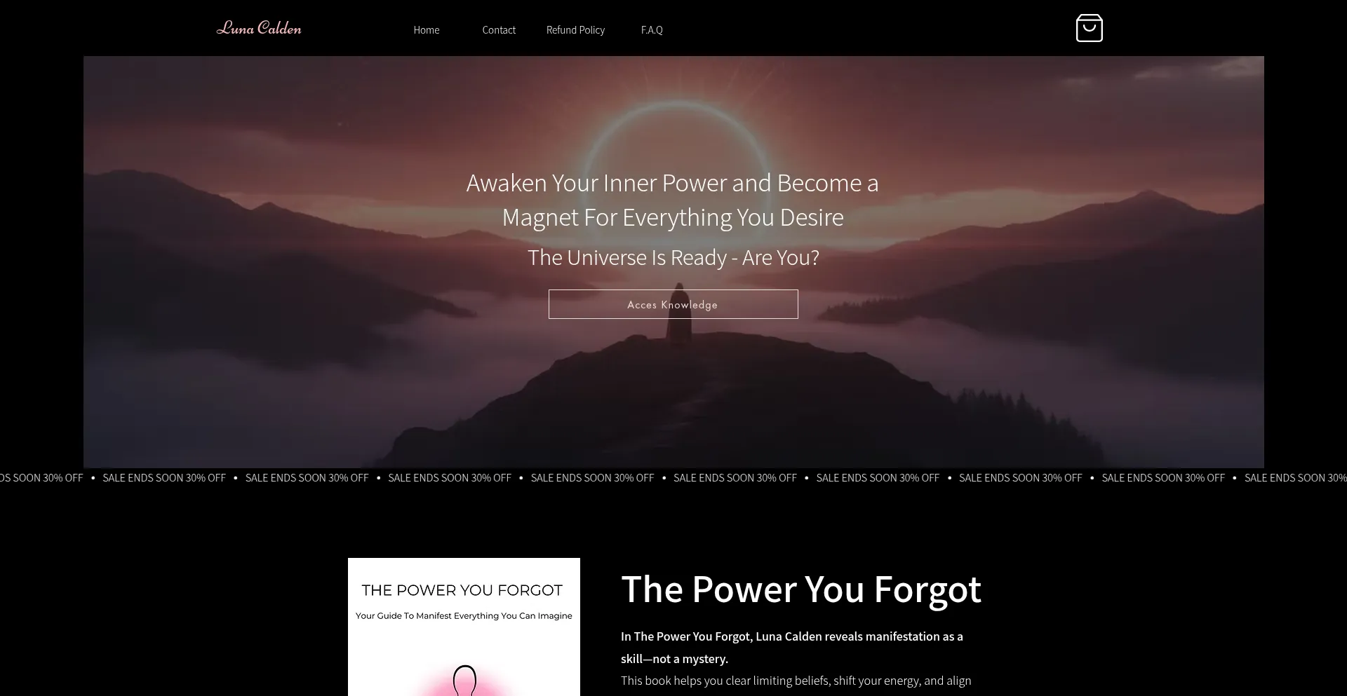 Website screenshot of Thepoweryouforgot.com