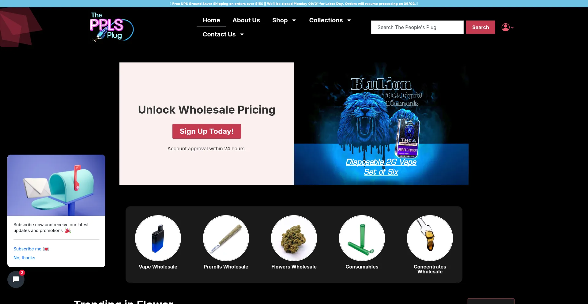 Website screenshot of Thepplsplug.com