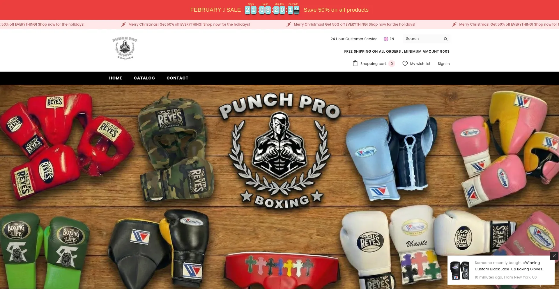 Thepunchpro.com