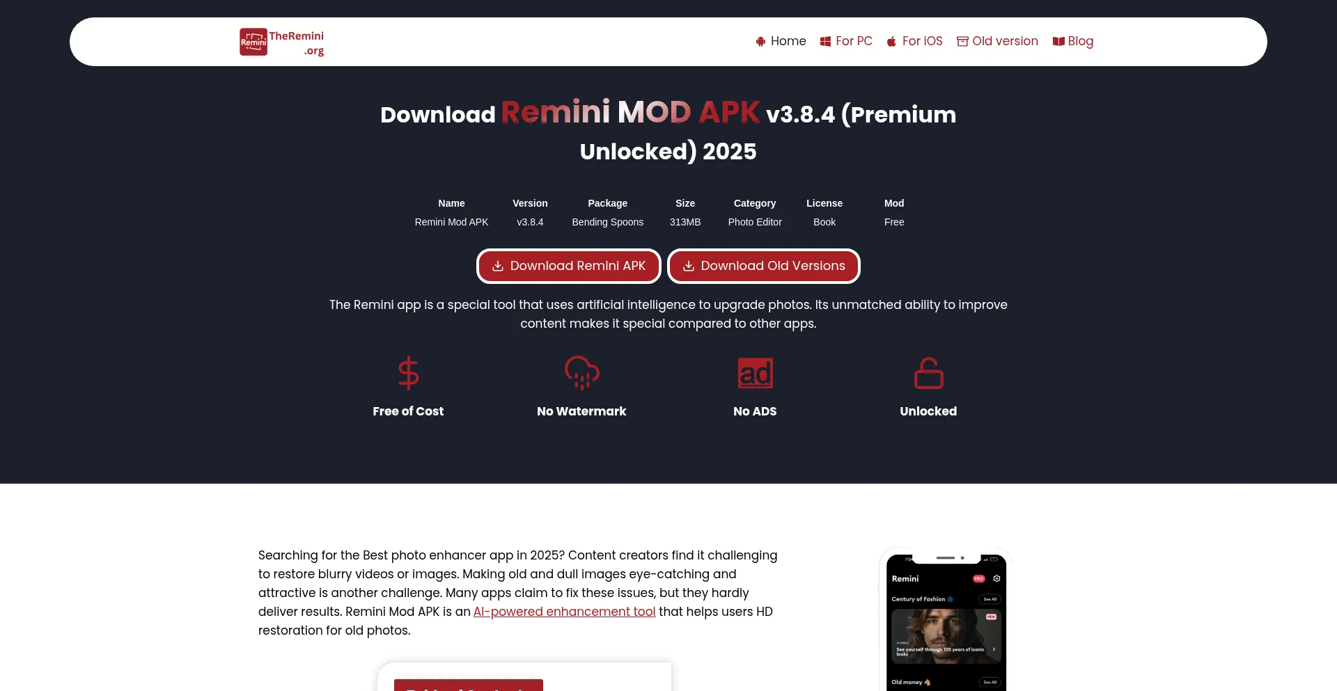 Website screenshot of Theremini.org