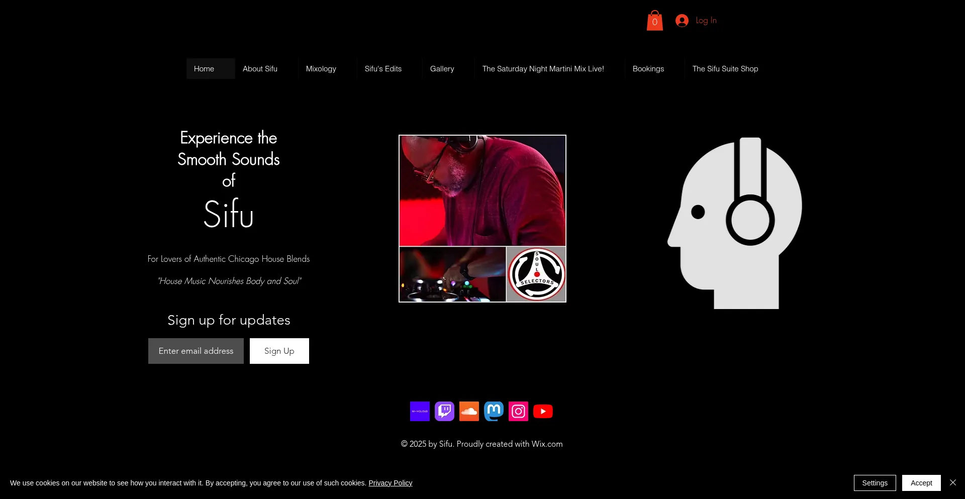 Website screenshot of Thesifuexperience.com