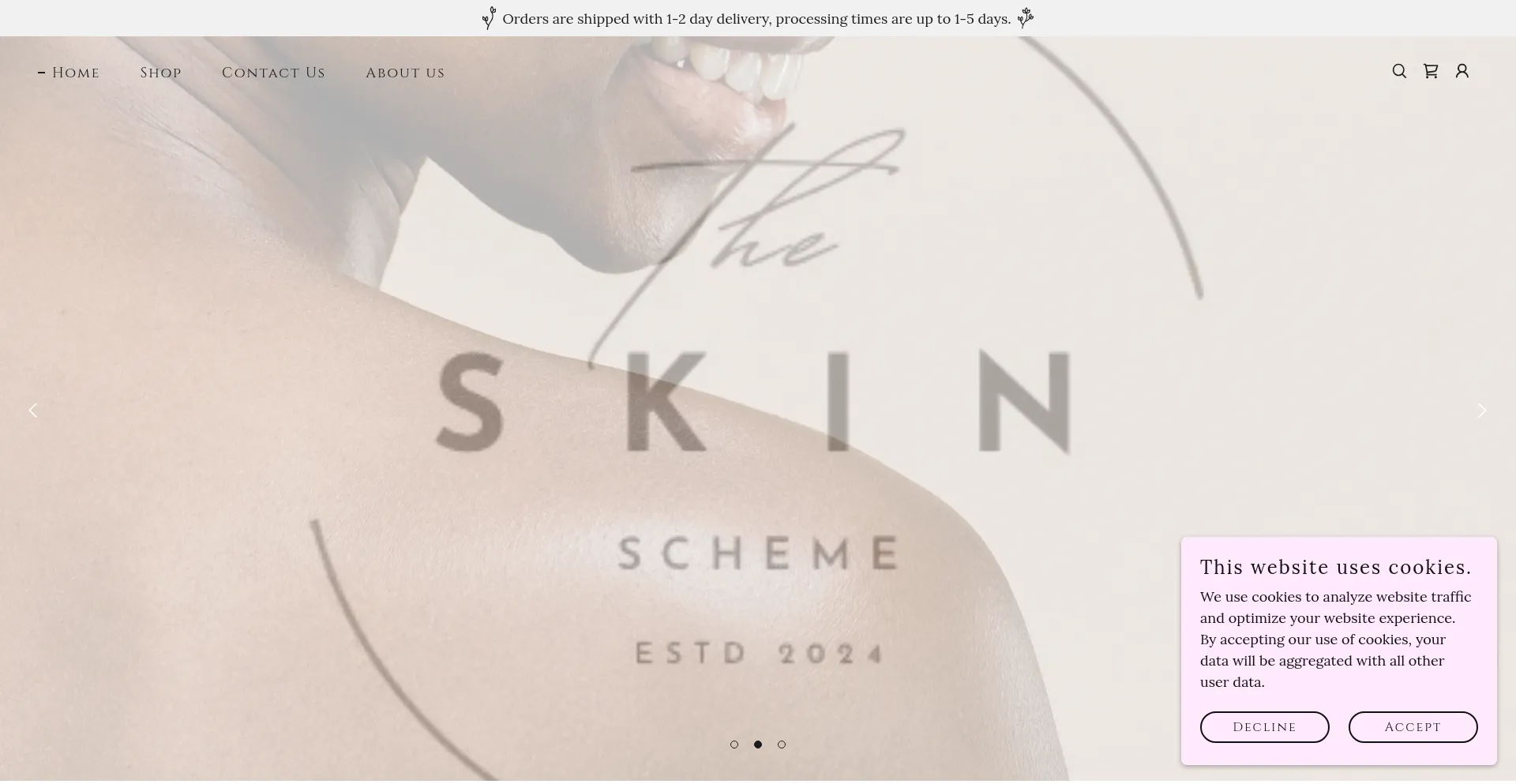 Theskinscheme.com