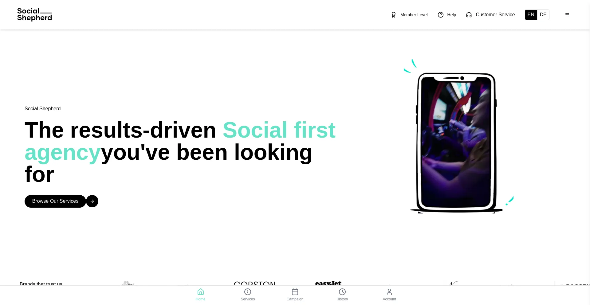 Website screenshot of Thesocialcampaign.online