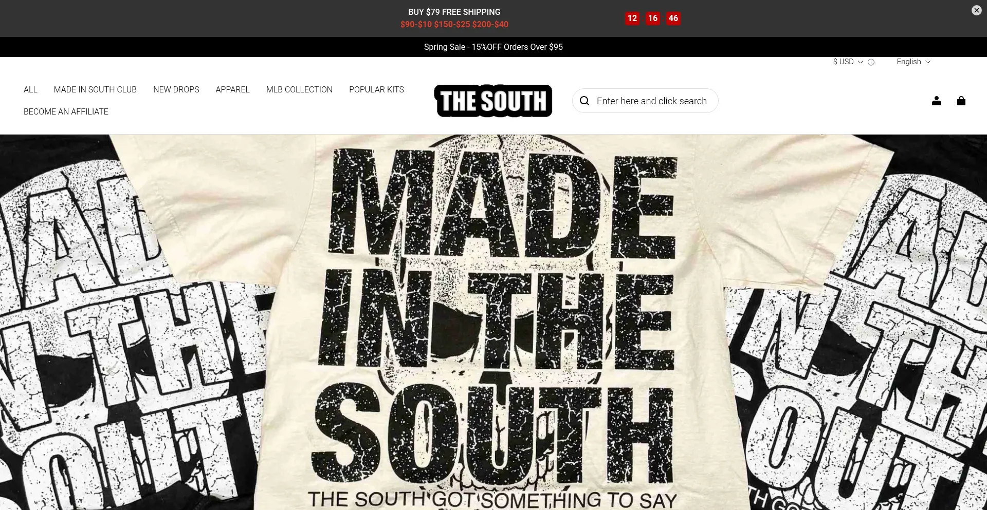 Website screenshot of Thesouthvibe.com