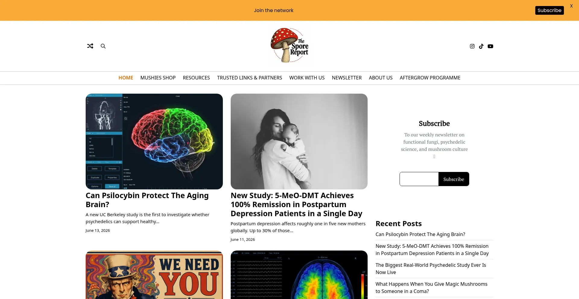 Thesporereport.com