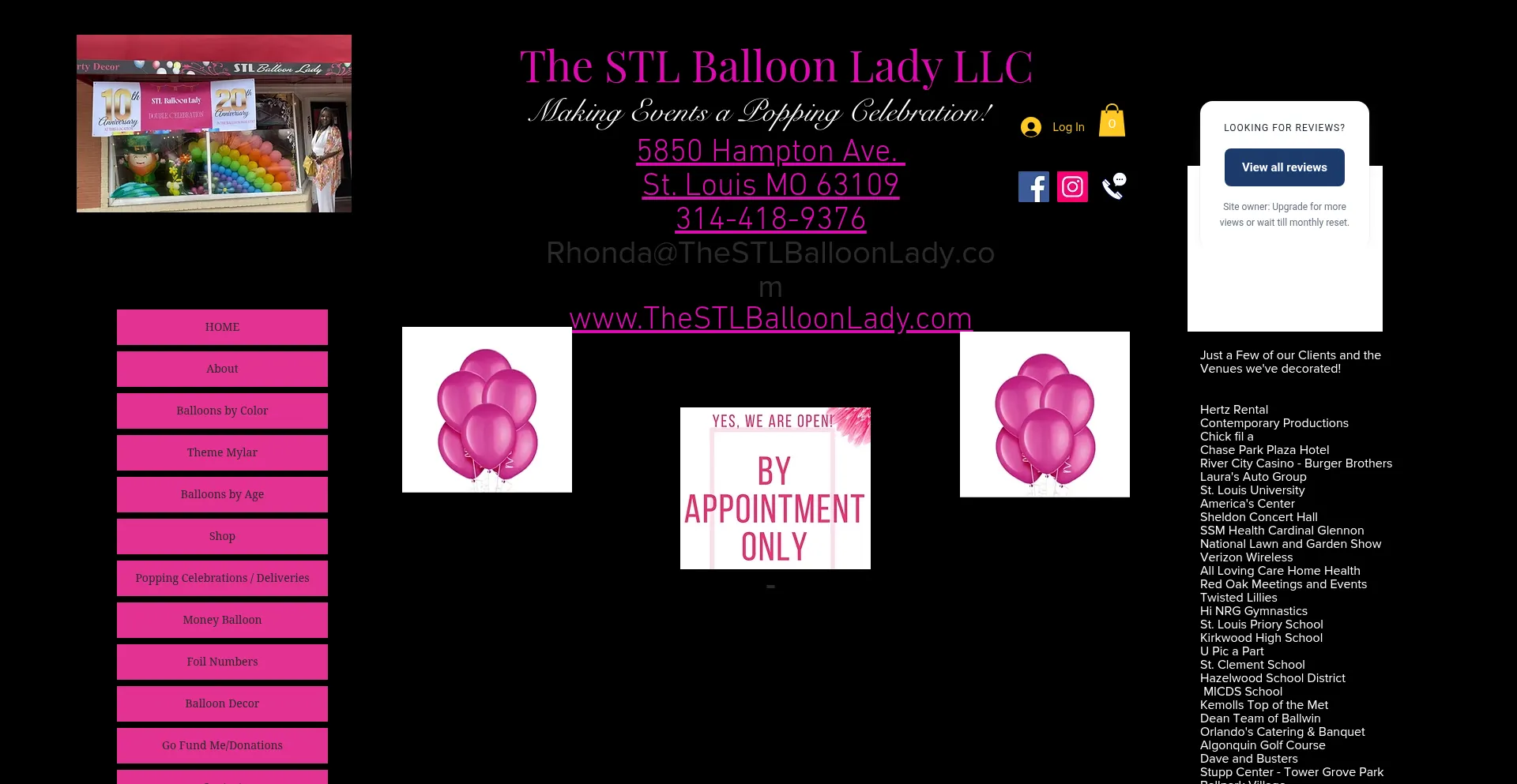 Website screenshot of Thestlballoonlady.com