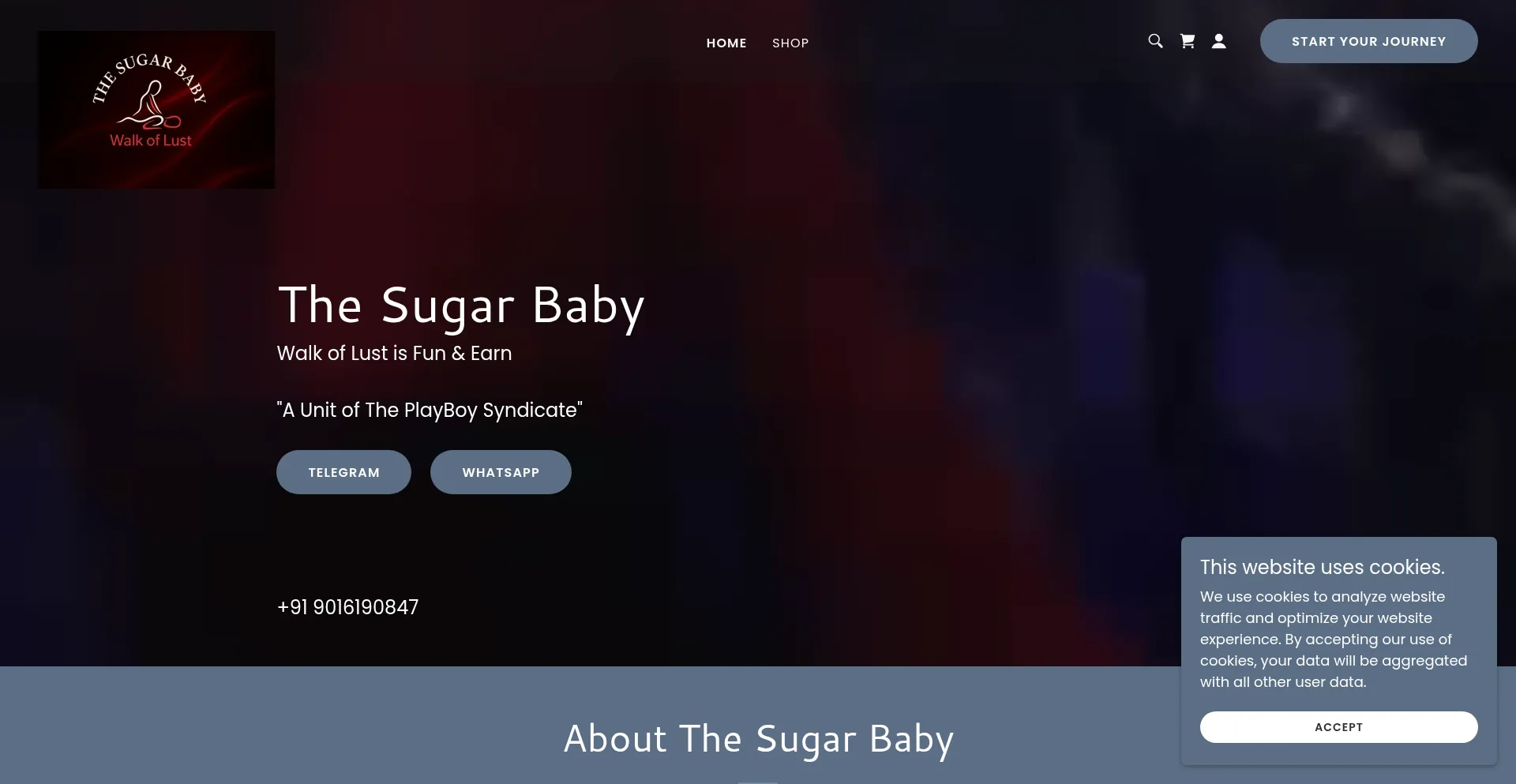 Thesugarbaby.co.in