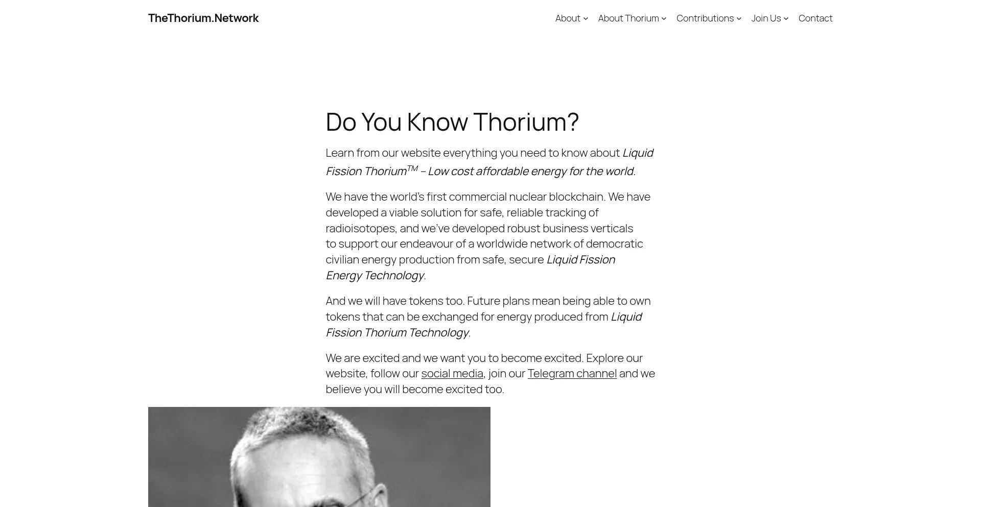 Website screenshot of Thethorium.network