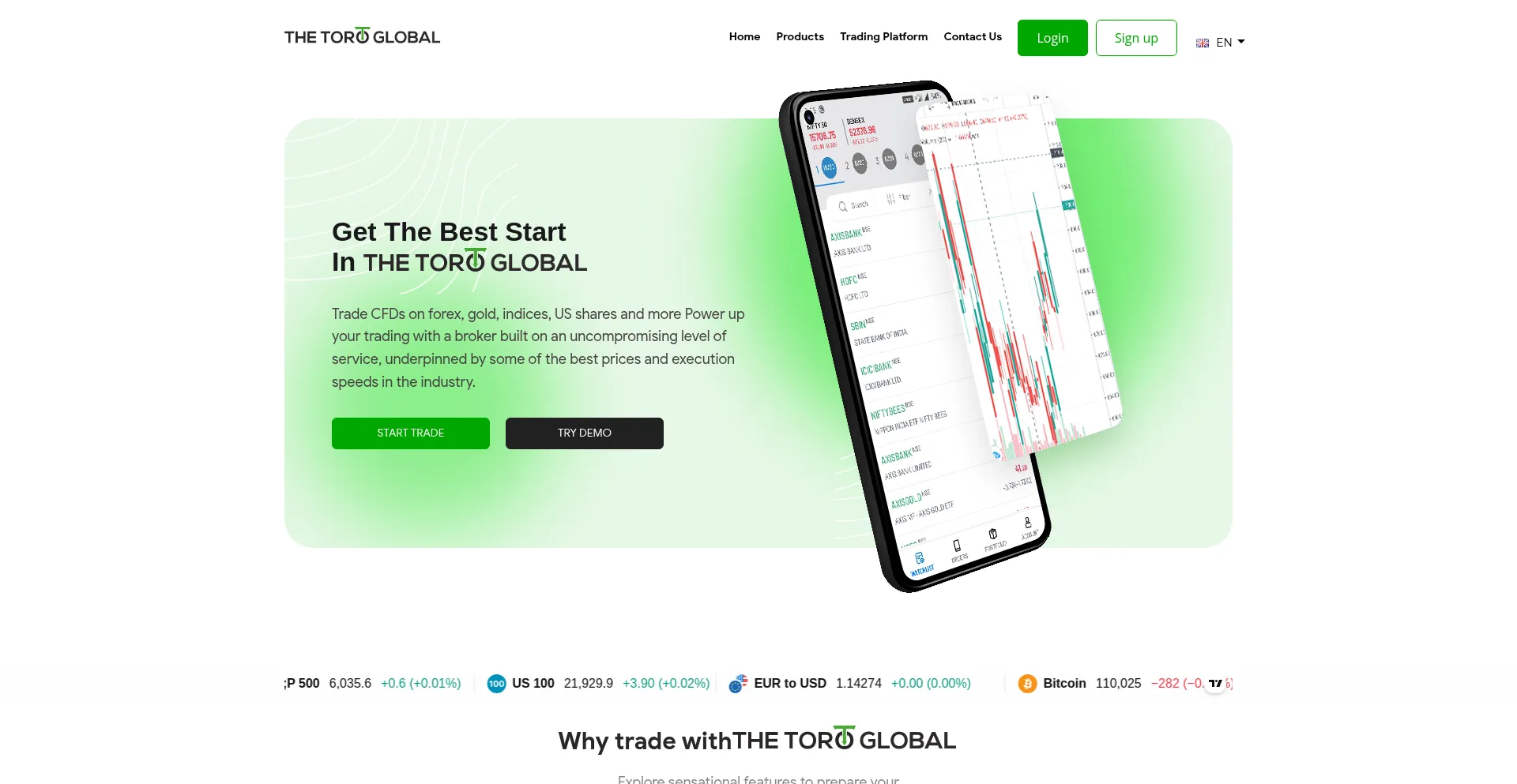 Website screenshot of Thetoroglobal.com