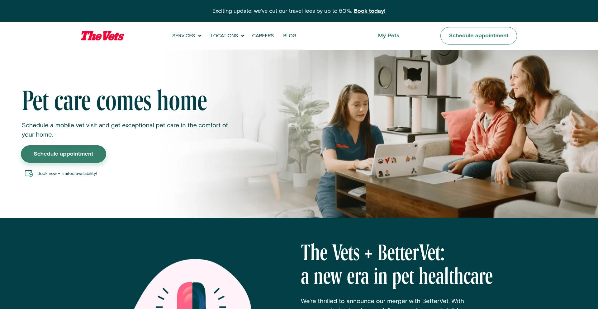 Website screenshot of Thevets.com