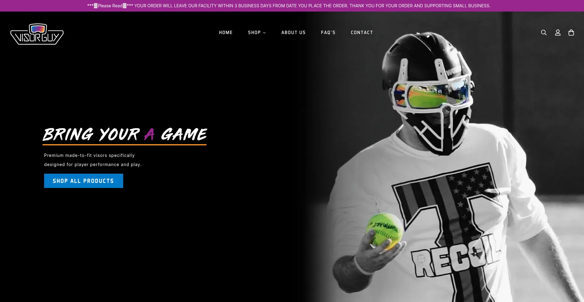 Website screenshot of Thevisorguy.com