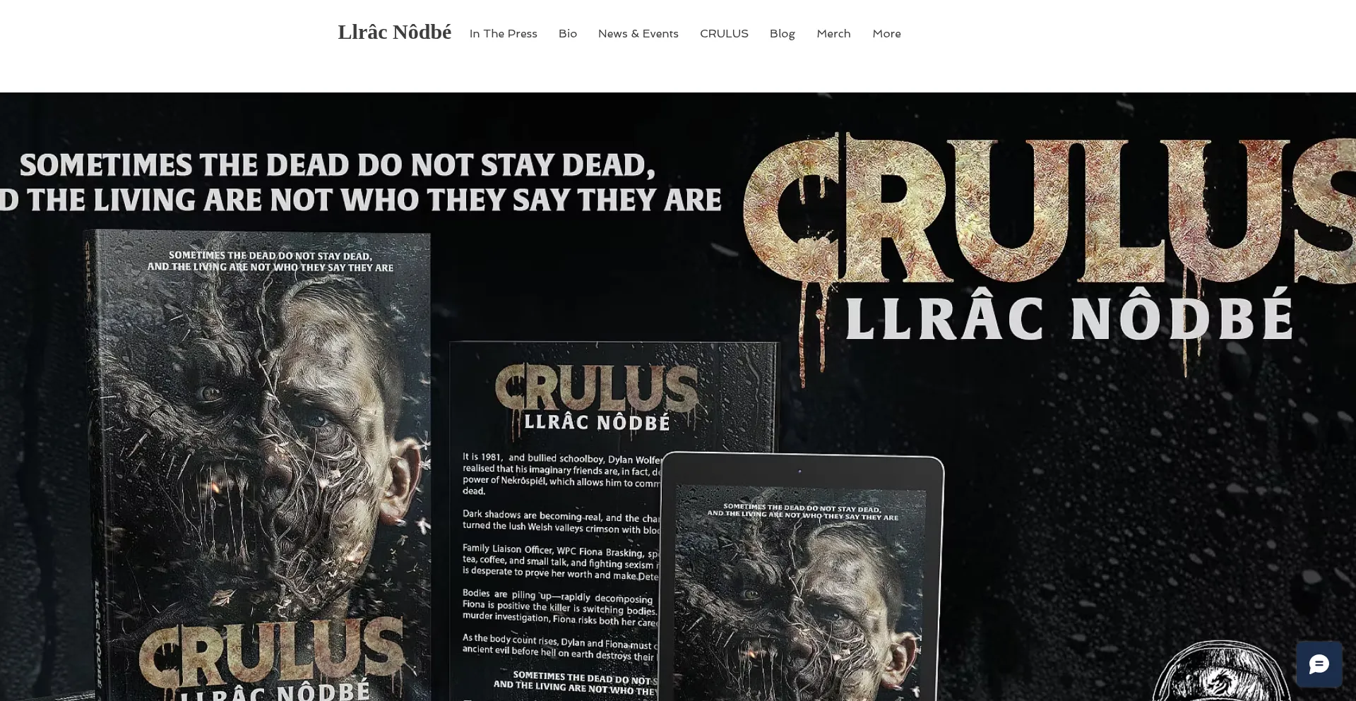 Website screenshot of Thevoicesmademedoit.com