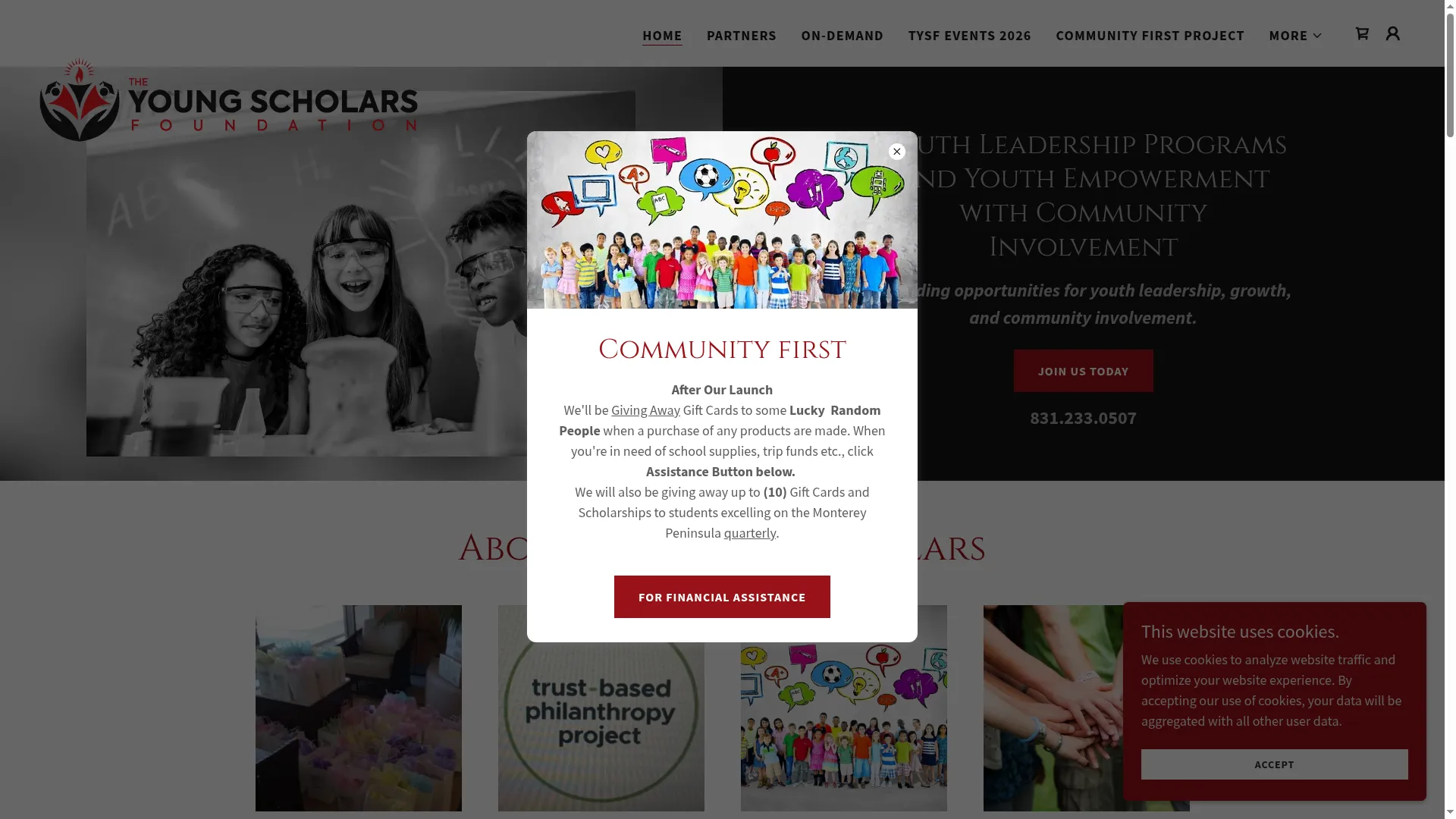Theyoungscholars.foundation