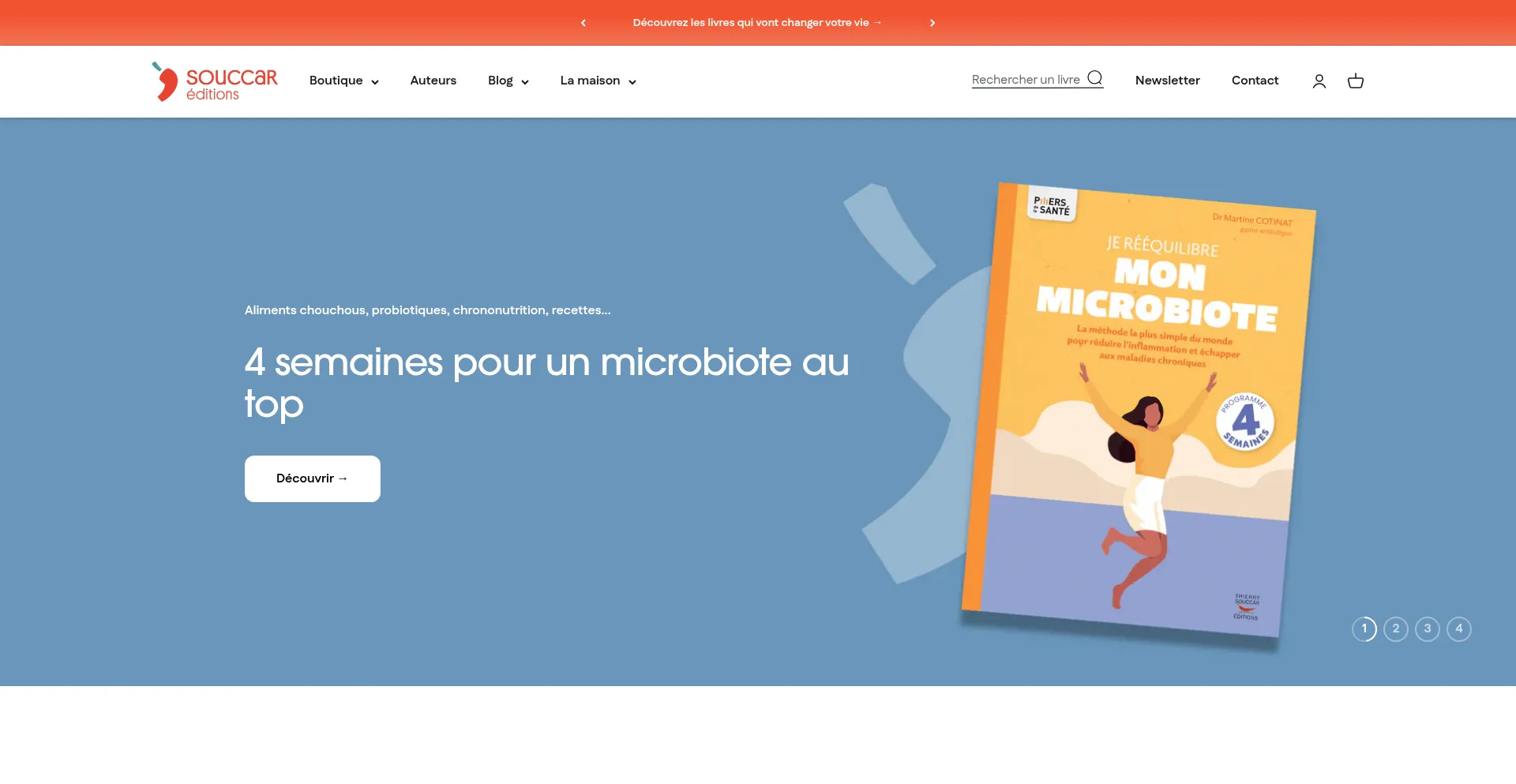 Website screenshot of Thierrysouccar.com