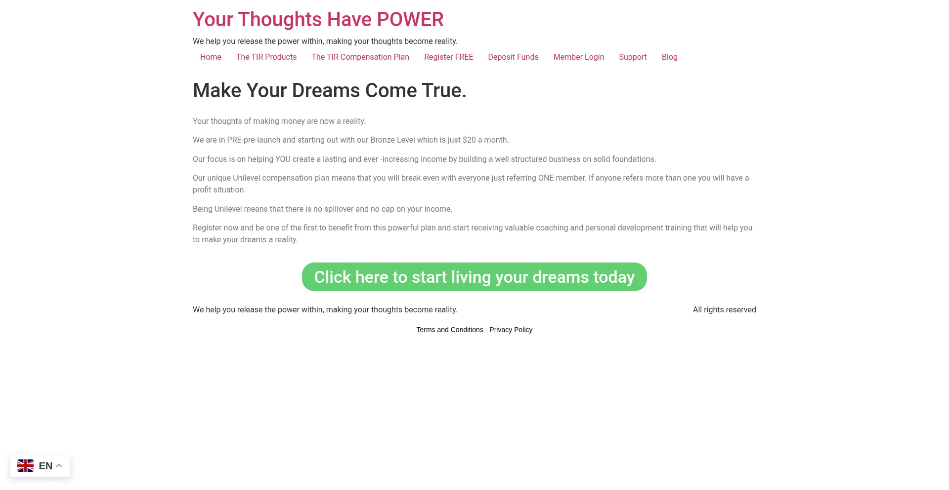 Website screenshot of Thinkingintoreality.com