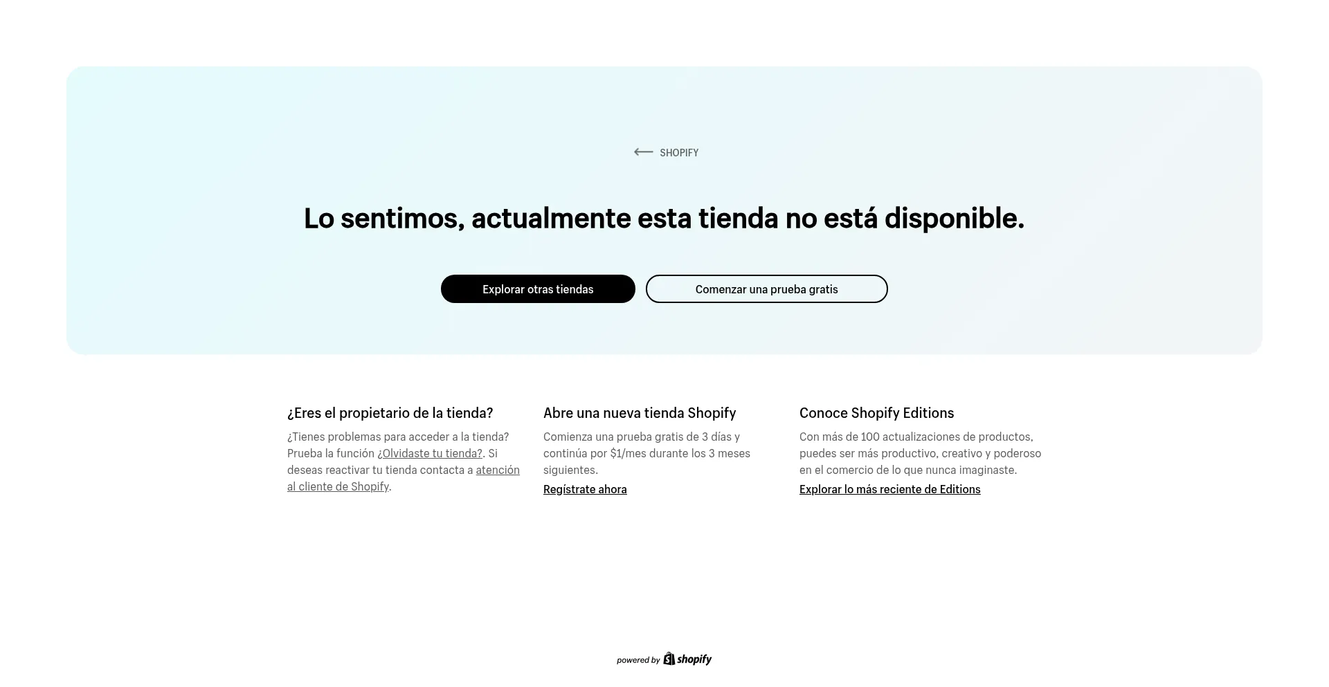Website screenshot of Thonystore.com