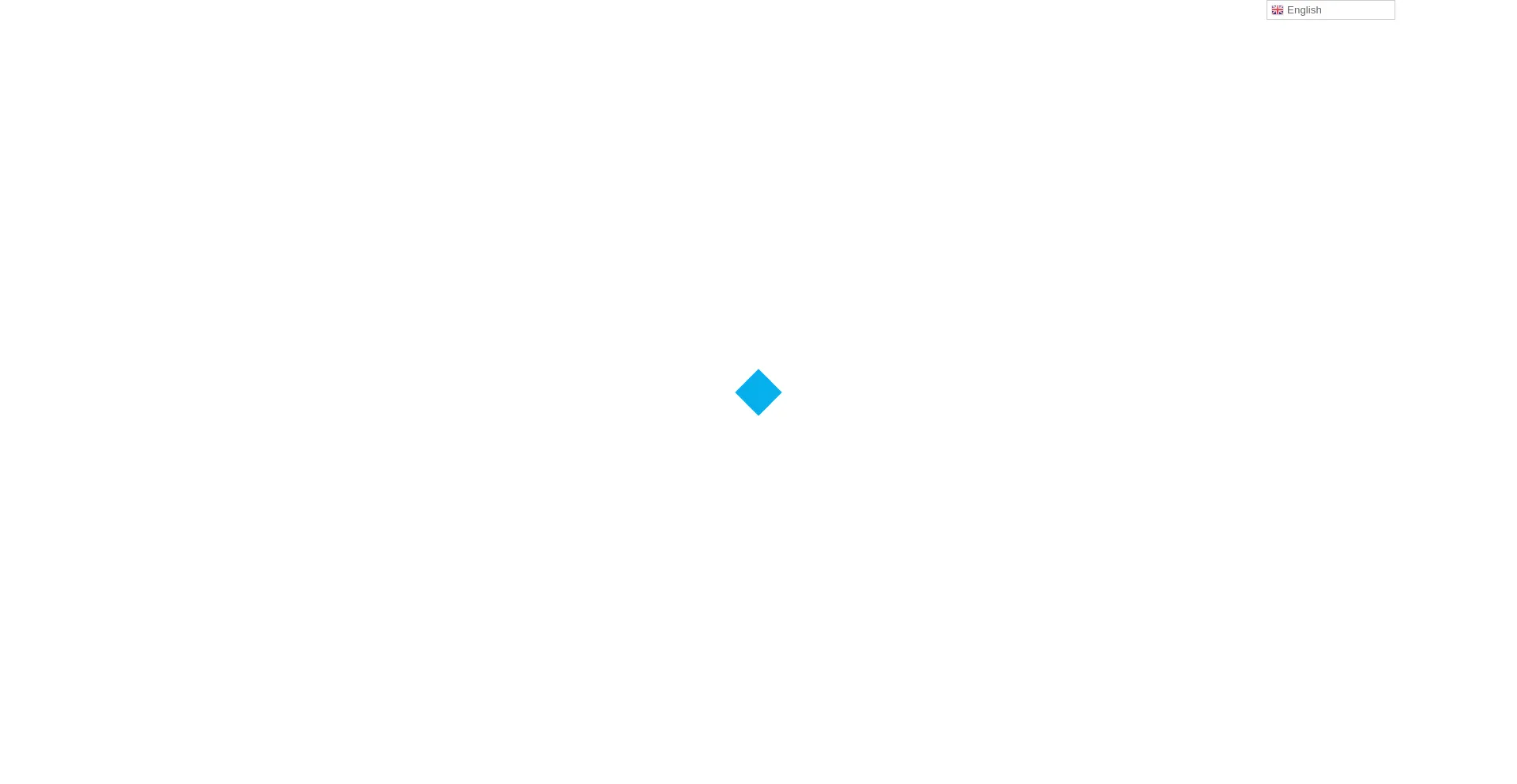 Website screenshot of Tianqibond-uae.com