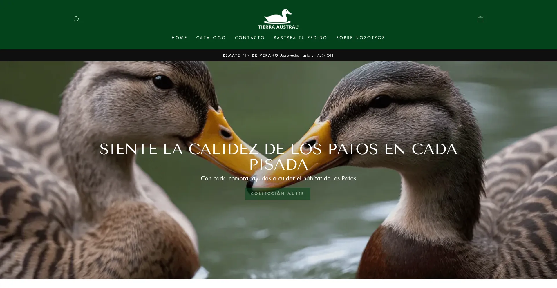 Website screenshot of Tierraustral-cl.com