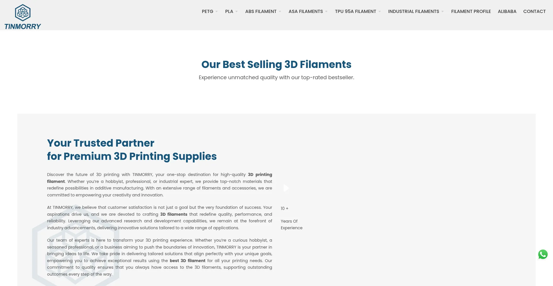 Website screenshot of Tinmorry.com
