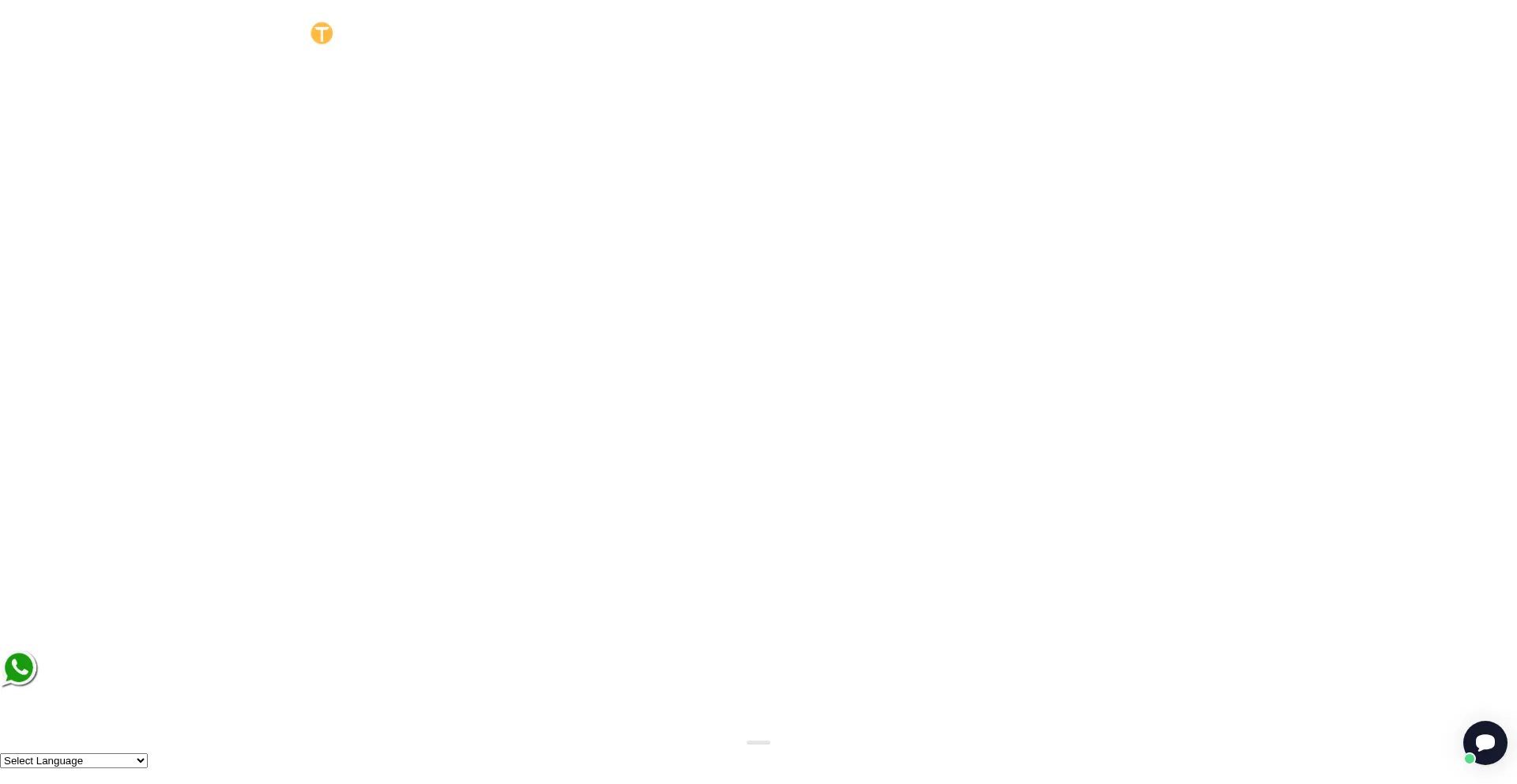Website screenshot of Titaniumbridges.com