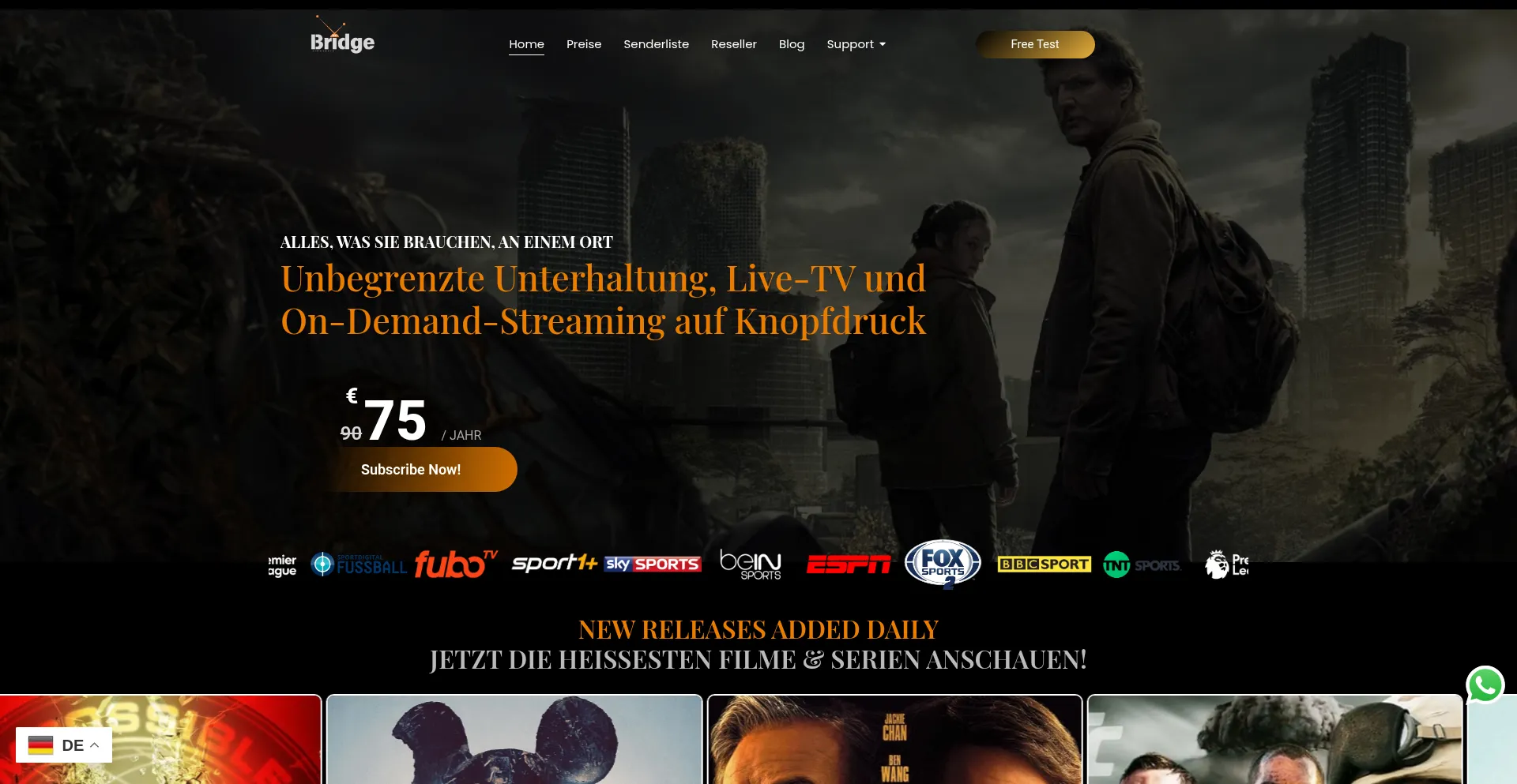 Website screenshot of Tivibridge.com