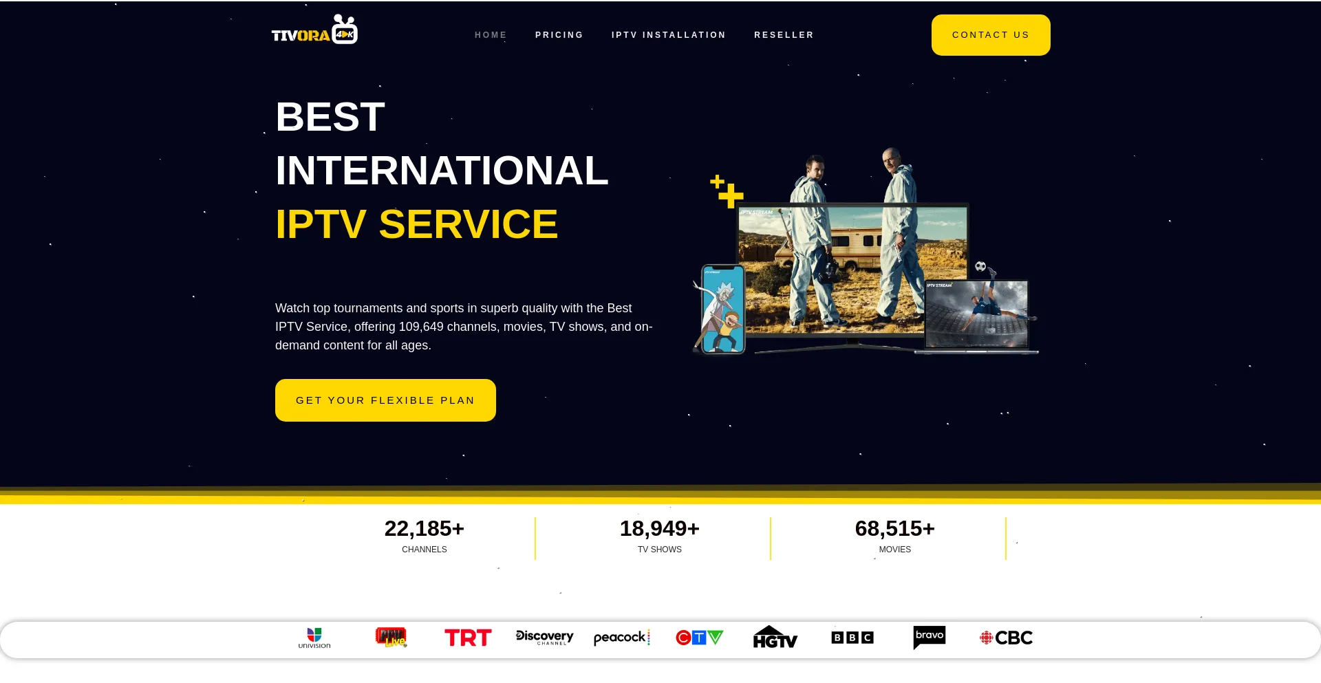 Website screenshot of Tivora4k.com