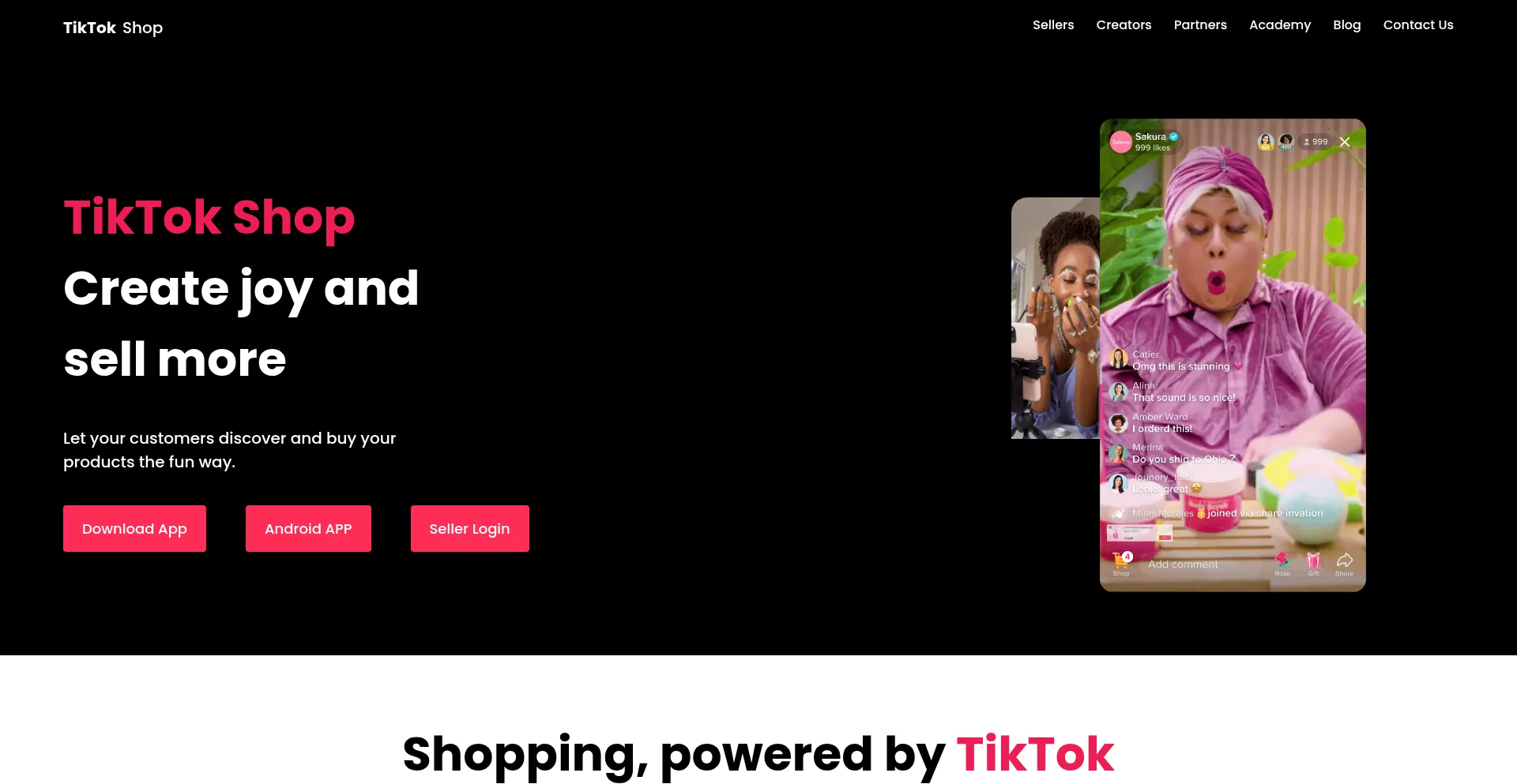 Website screenshot of Tkvip.torvip.top