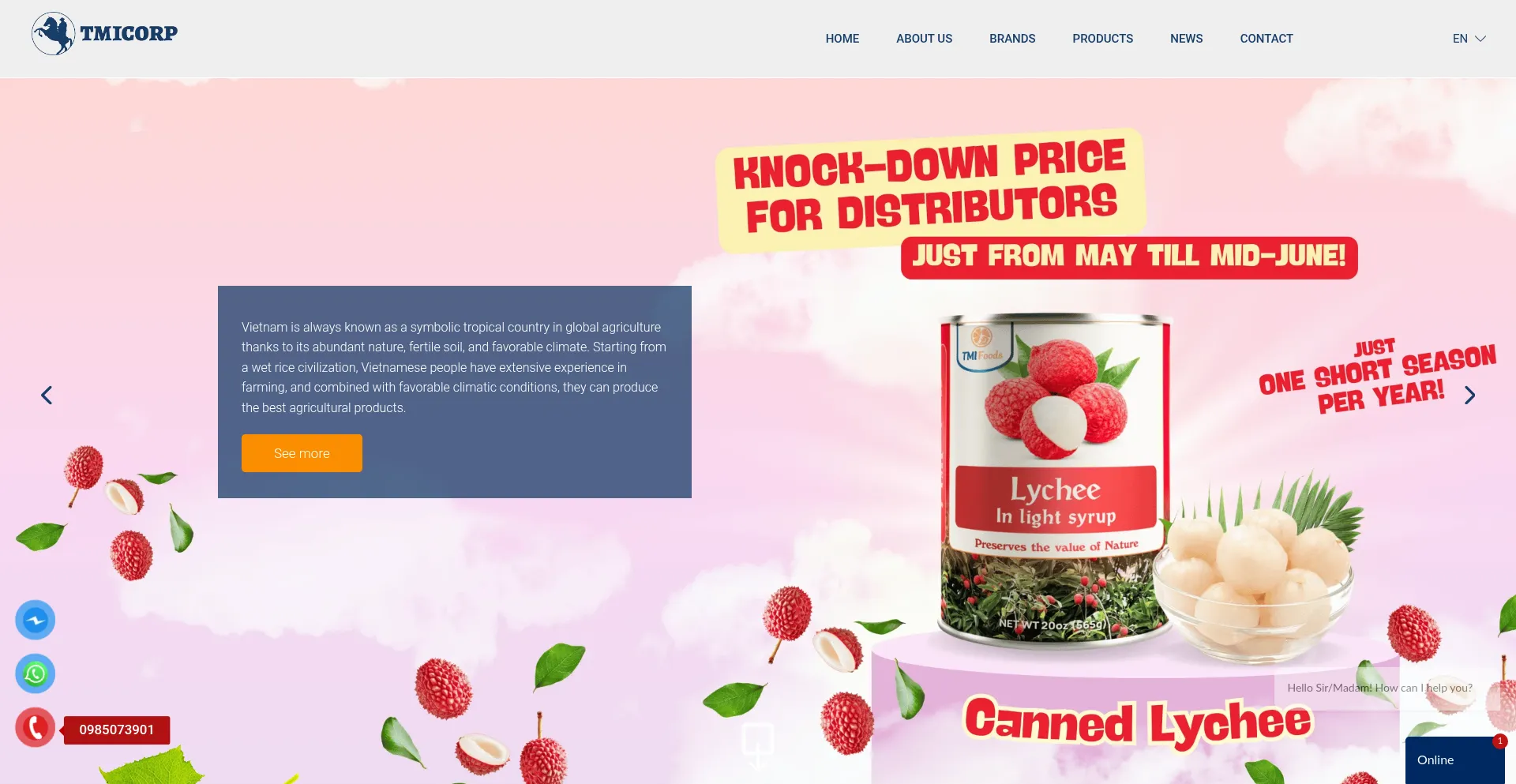 Website screenshot of Tmicorpgroup.com