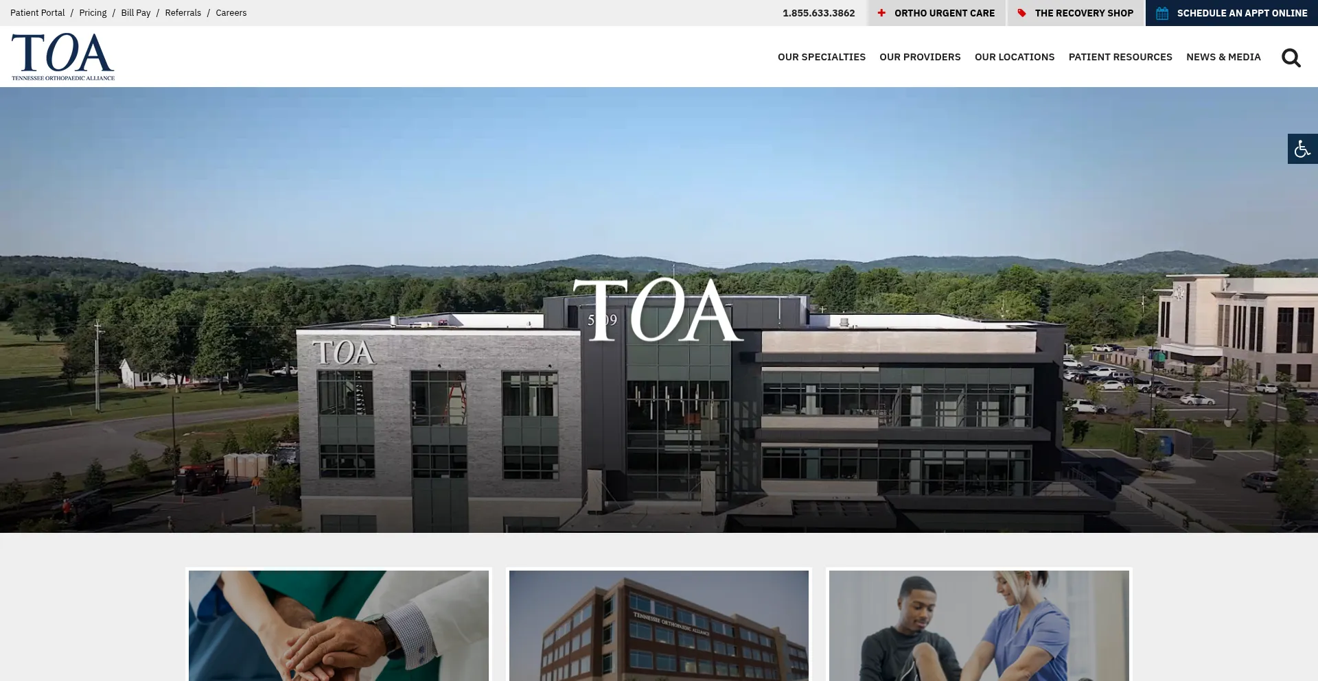 Website screenshot of Toa.com