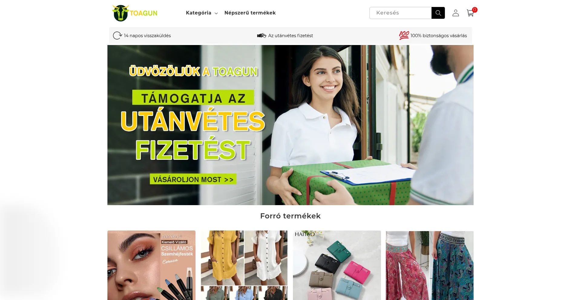 Website screenshot of Toagun.com