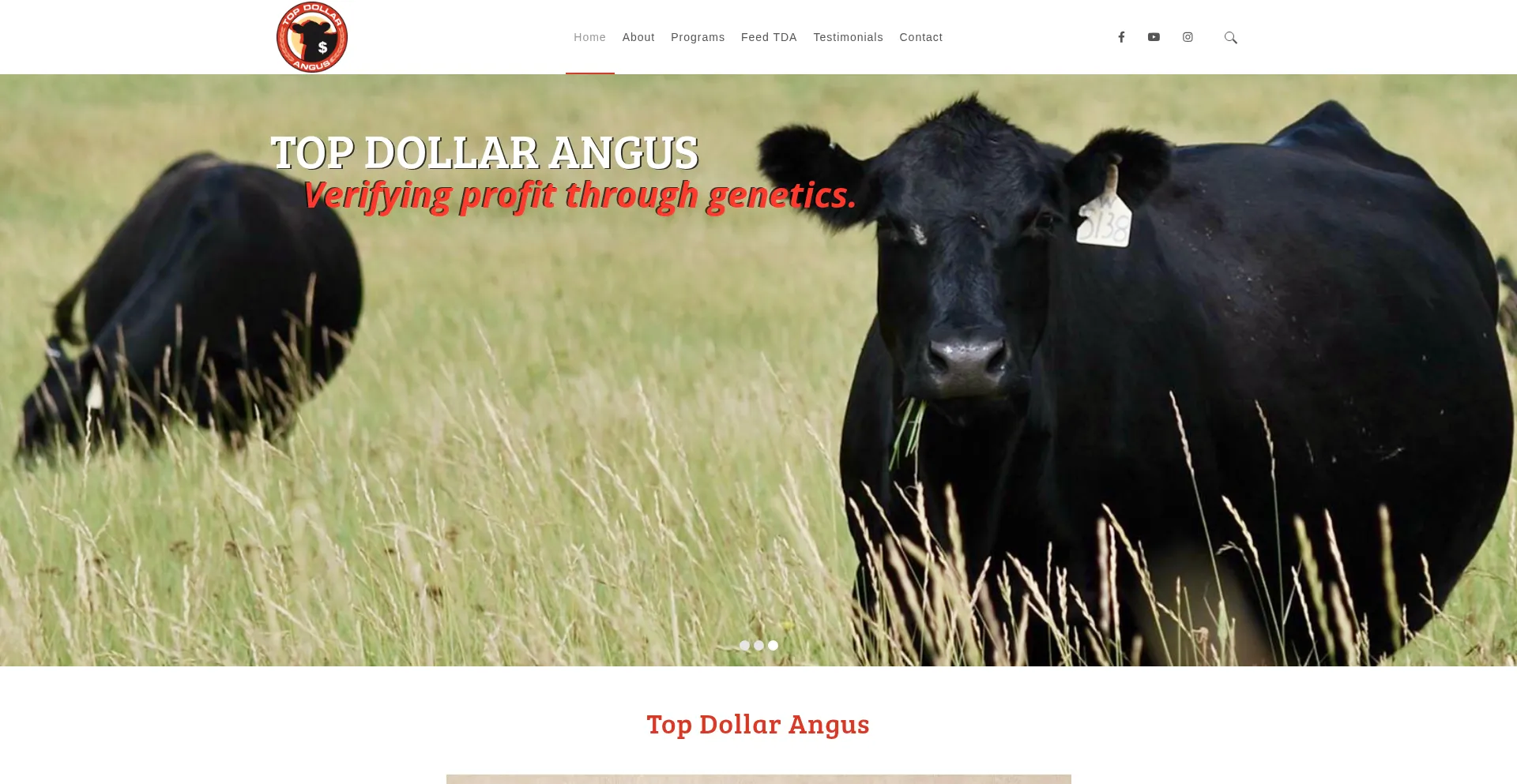 Topdollarangus.com Screenshot