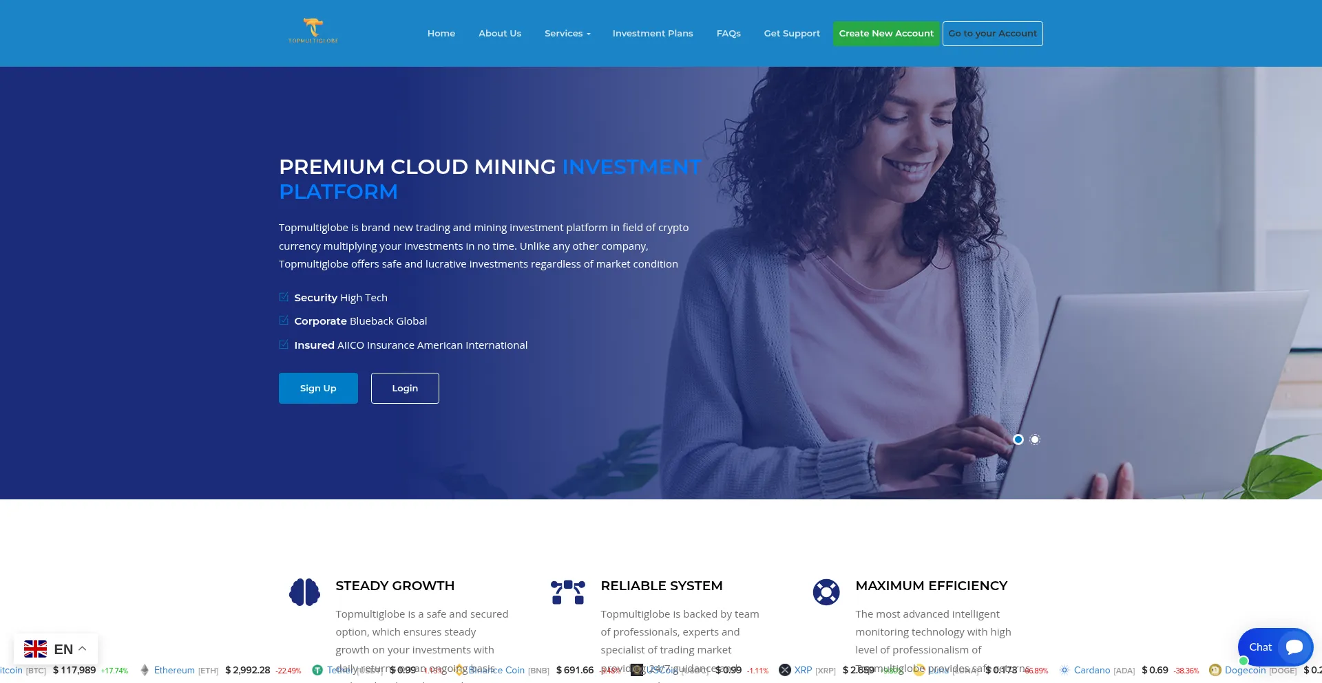 Website screenshot of Topmultiglobe.com