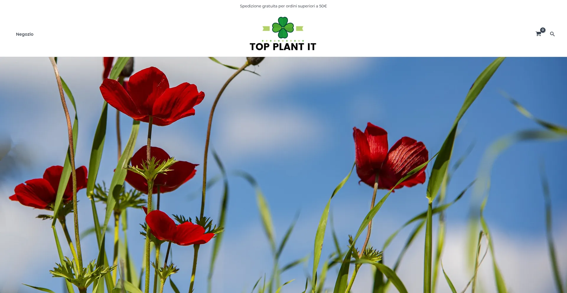 Topplant-it.com