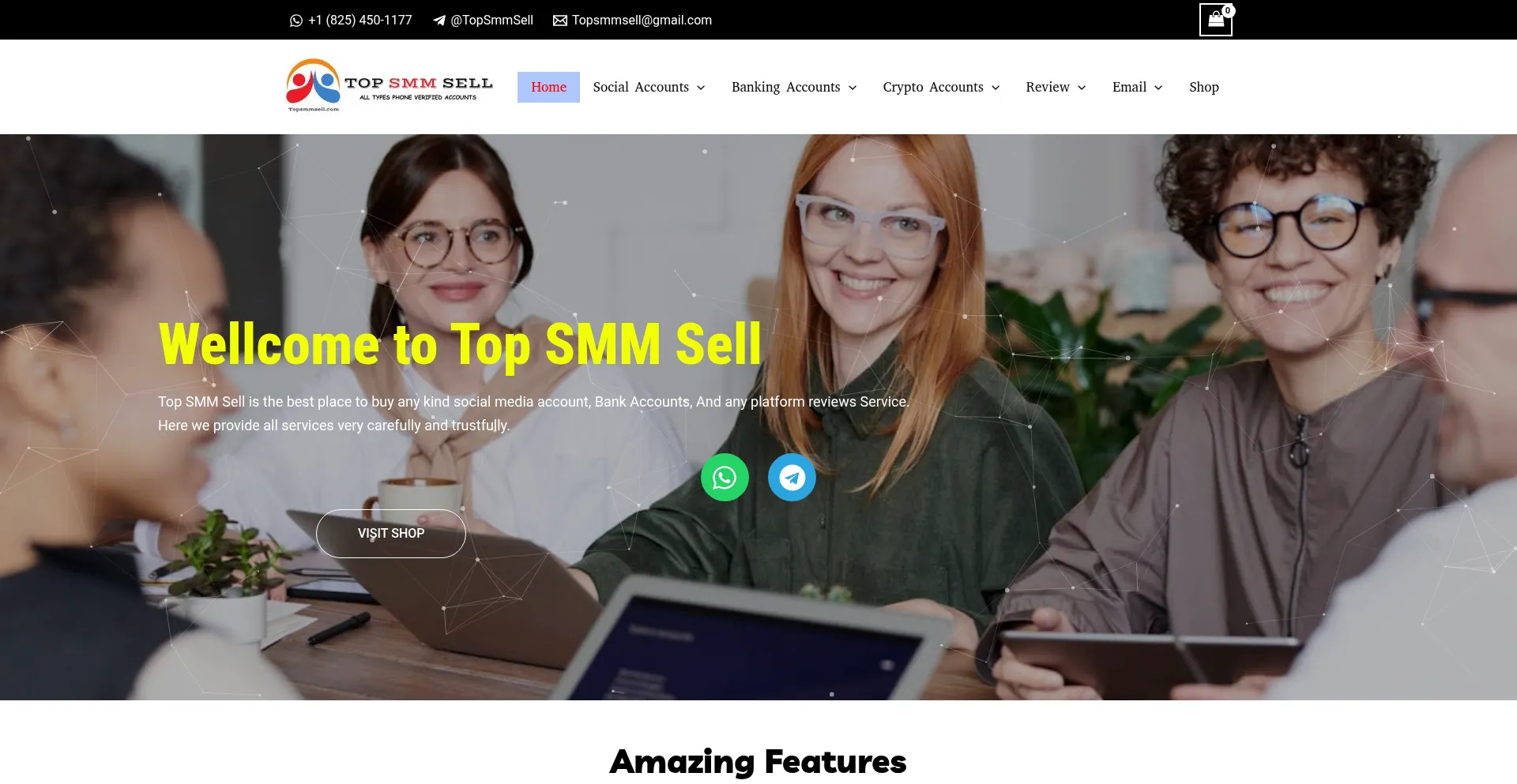 Website screenshot of Topsmmsell.com