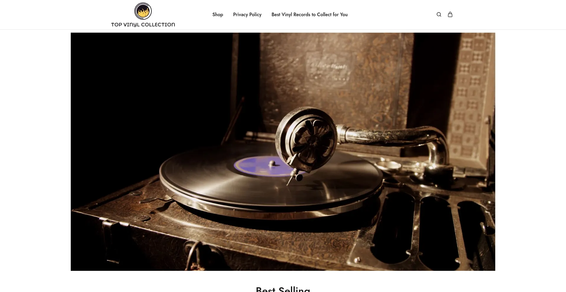 Topvinylcollection.com