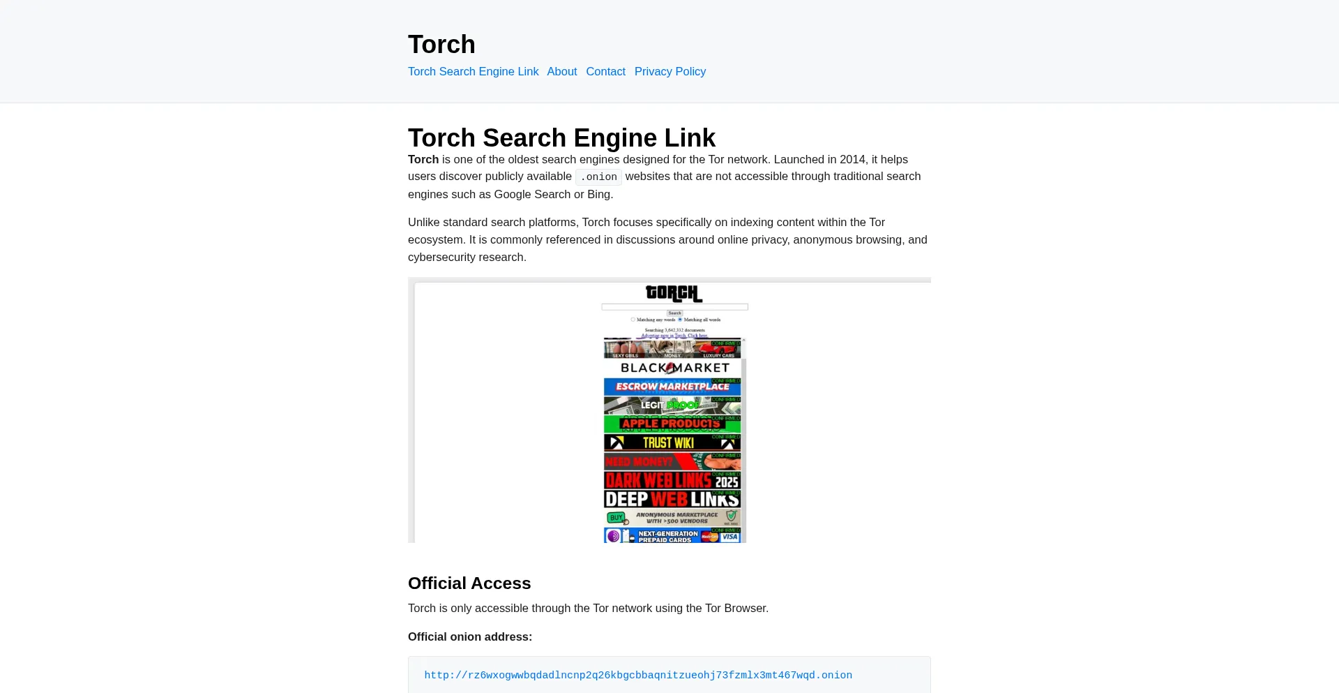 Torchsearchengine.com