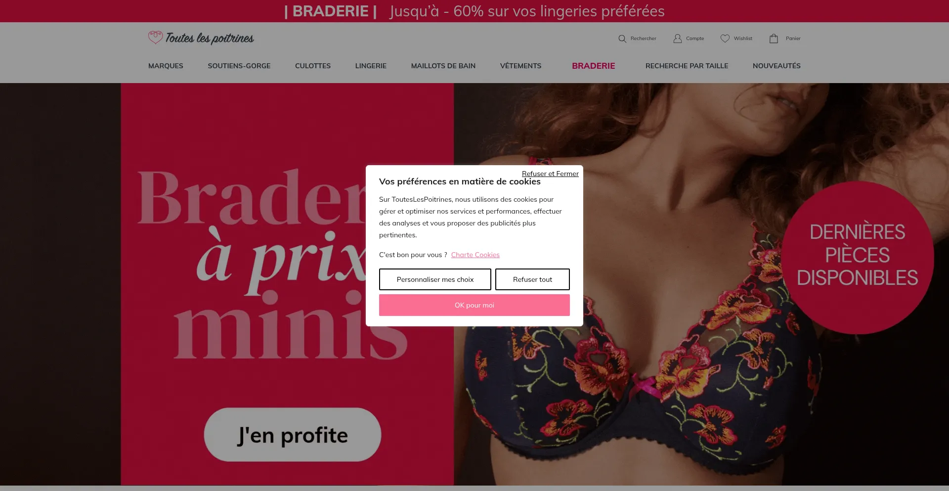 Website screenshot of Touteslespoitrines.com
