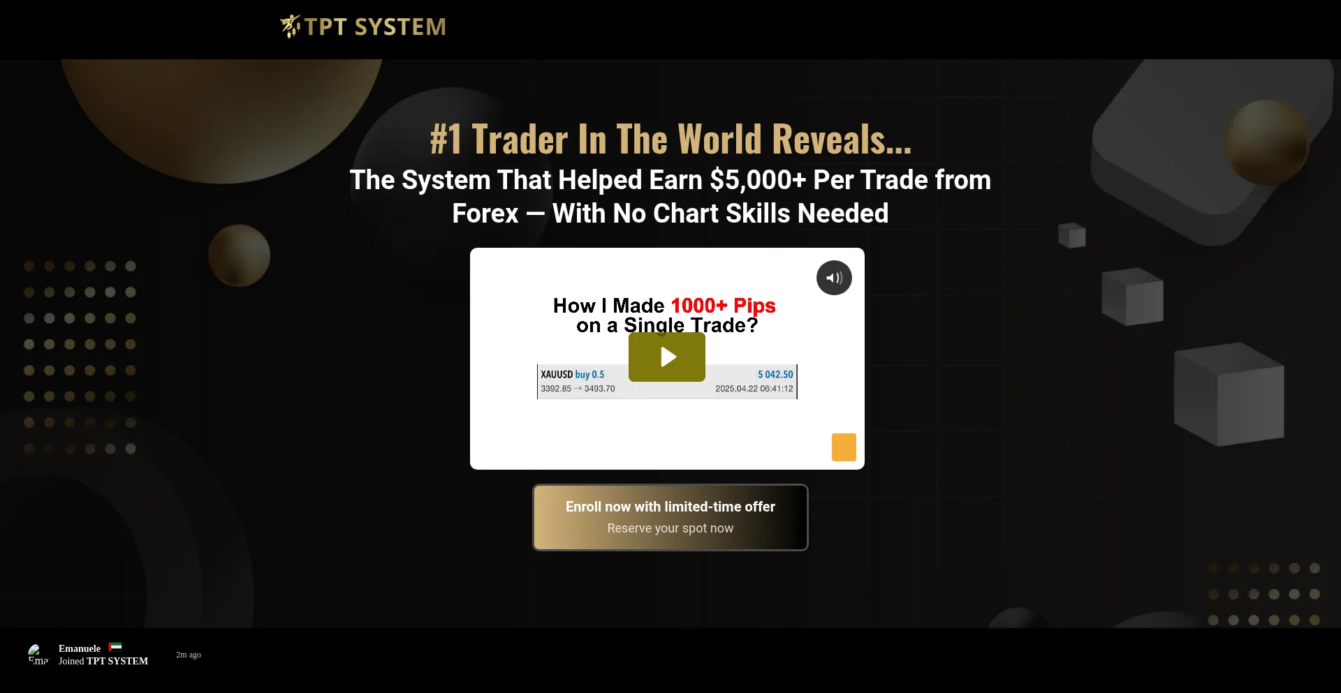 Website screenshot of Tptsystem.com
