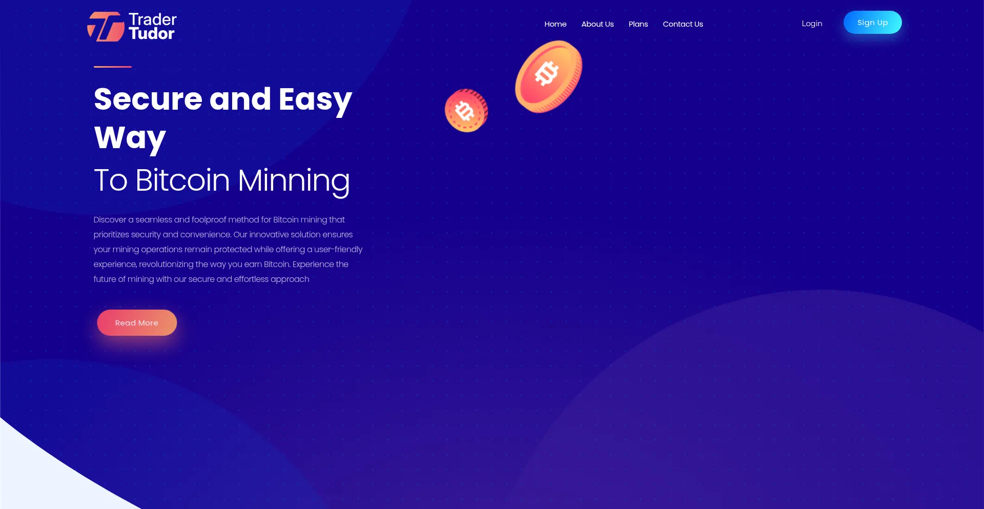 Website screenshot of Tradertudor.space