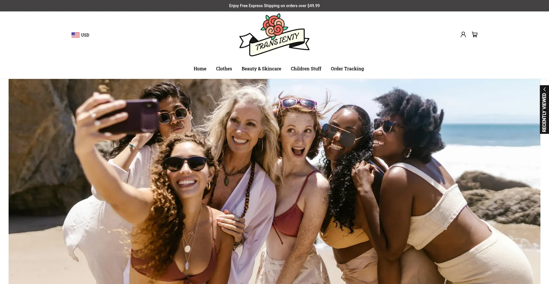 Website screenshot of Transienty.com