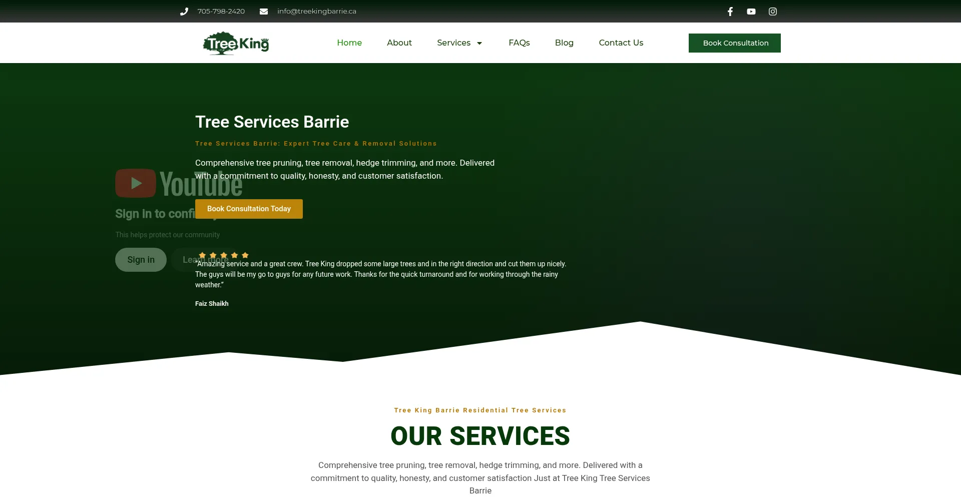 Treekingbarrie.ca
