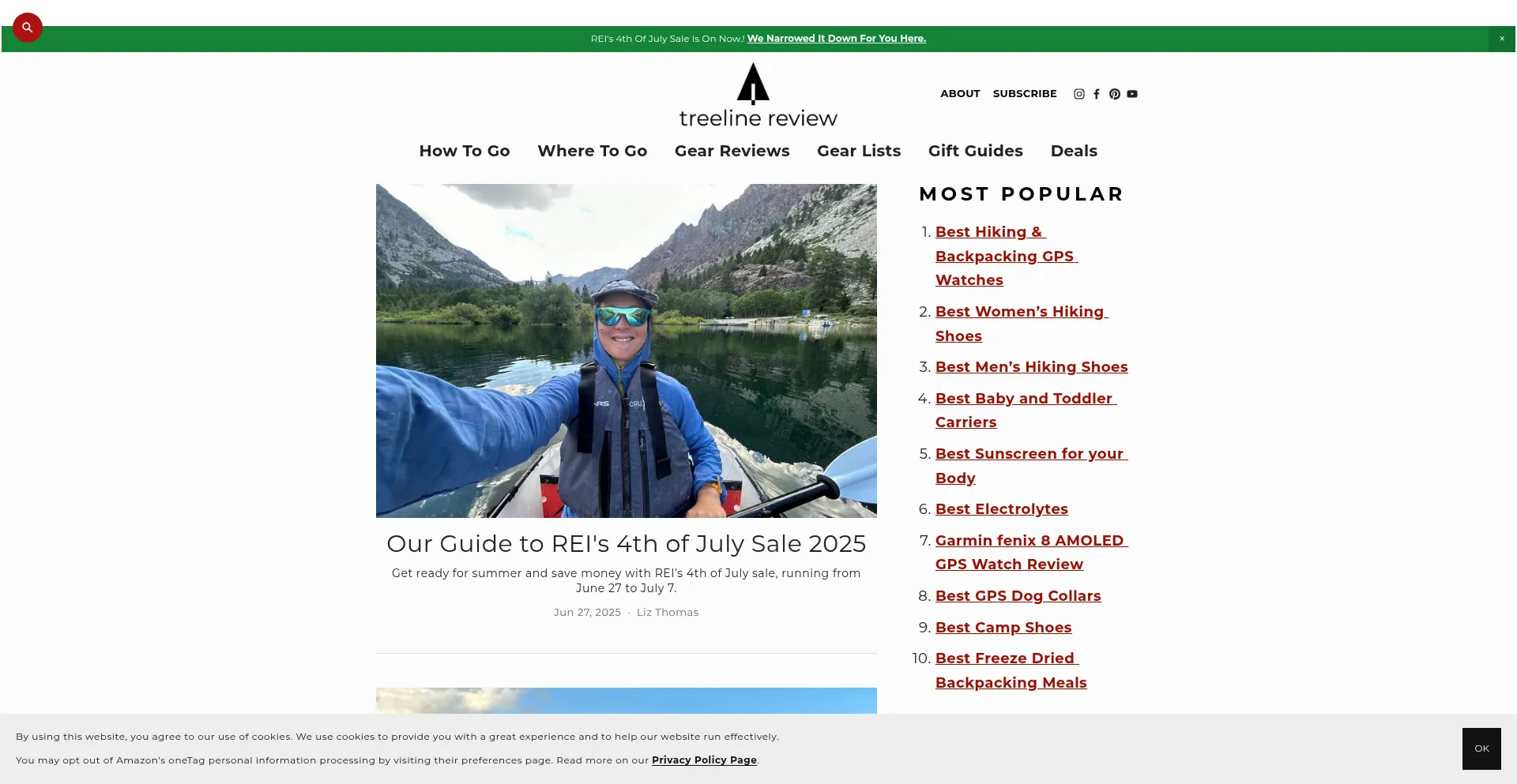 Website screenshot of Treelinereview.com