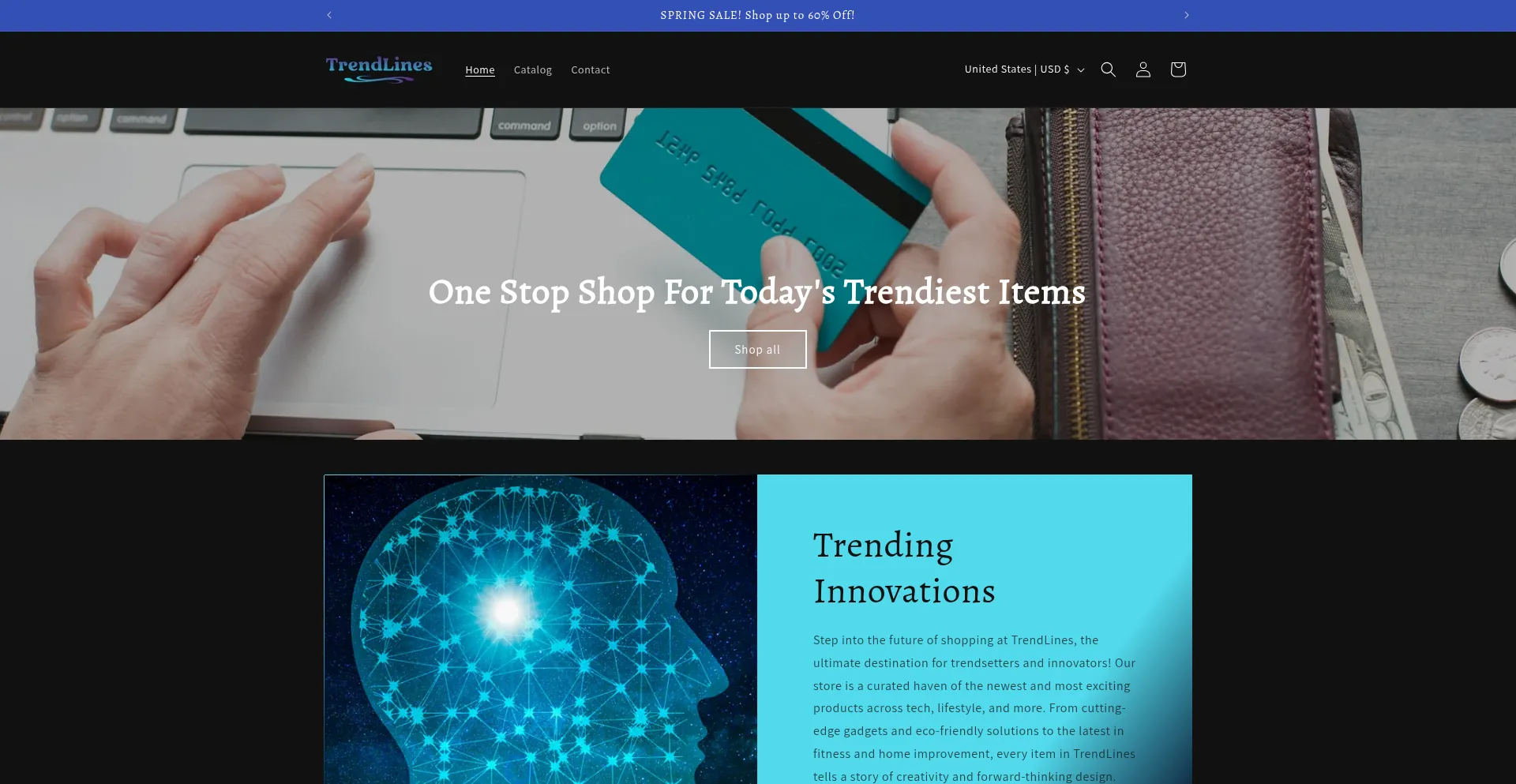 Website screenshot of Trendlines.store