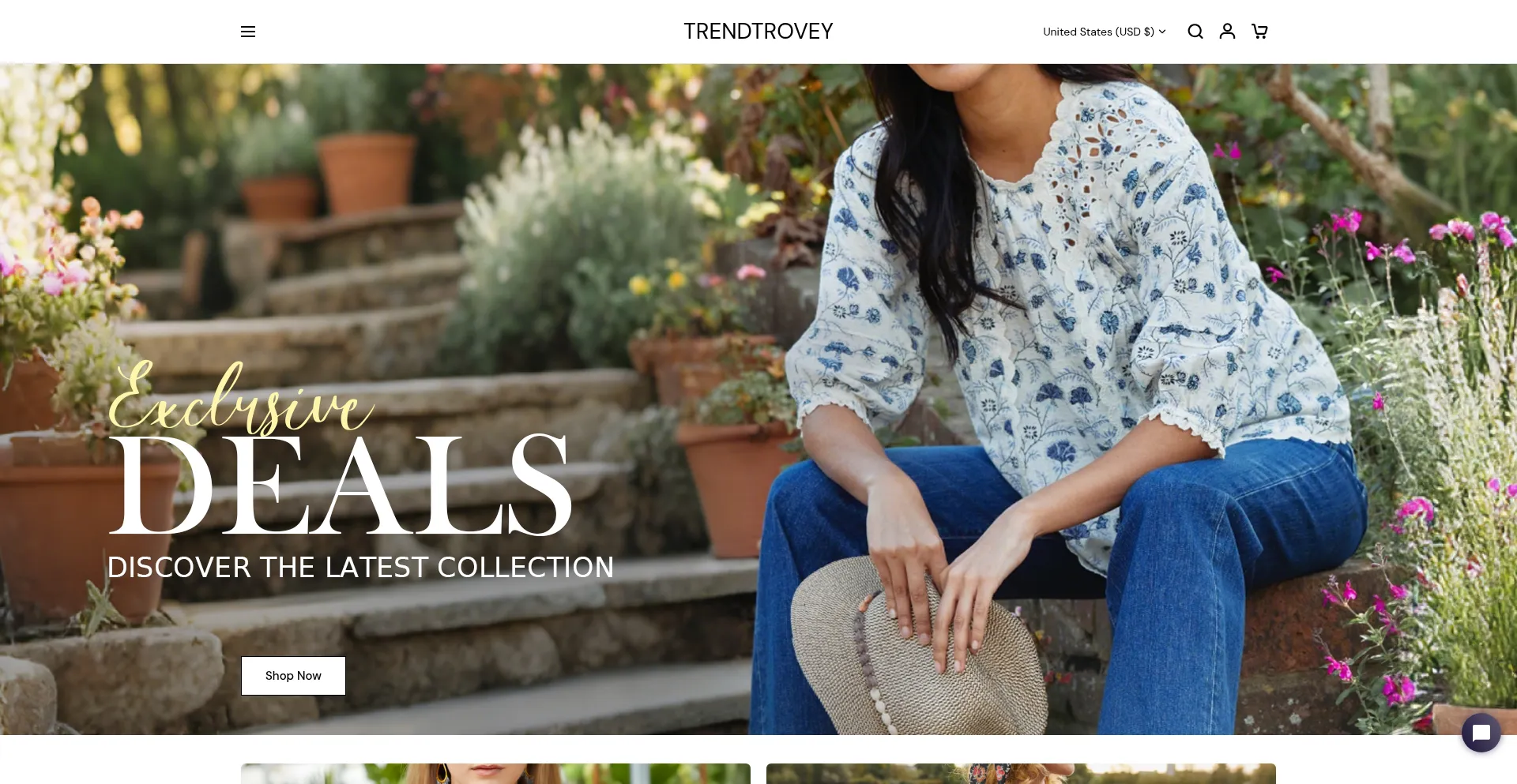 Website screenshot of Trendtrovey.com