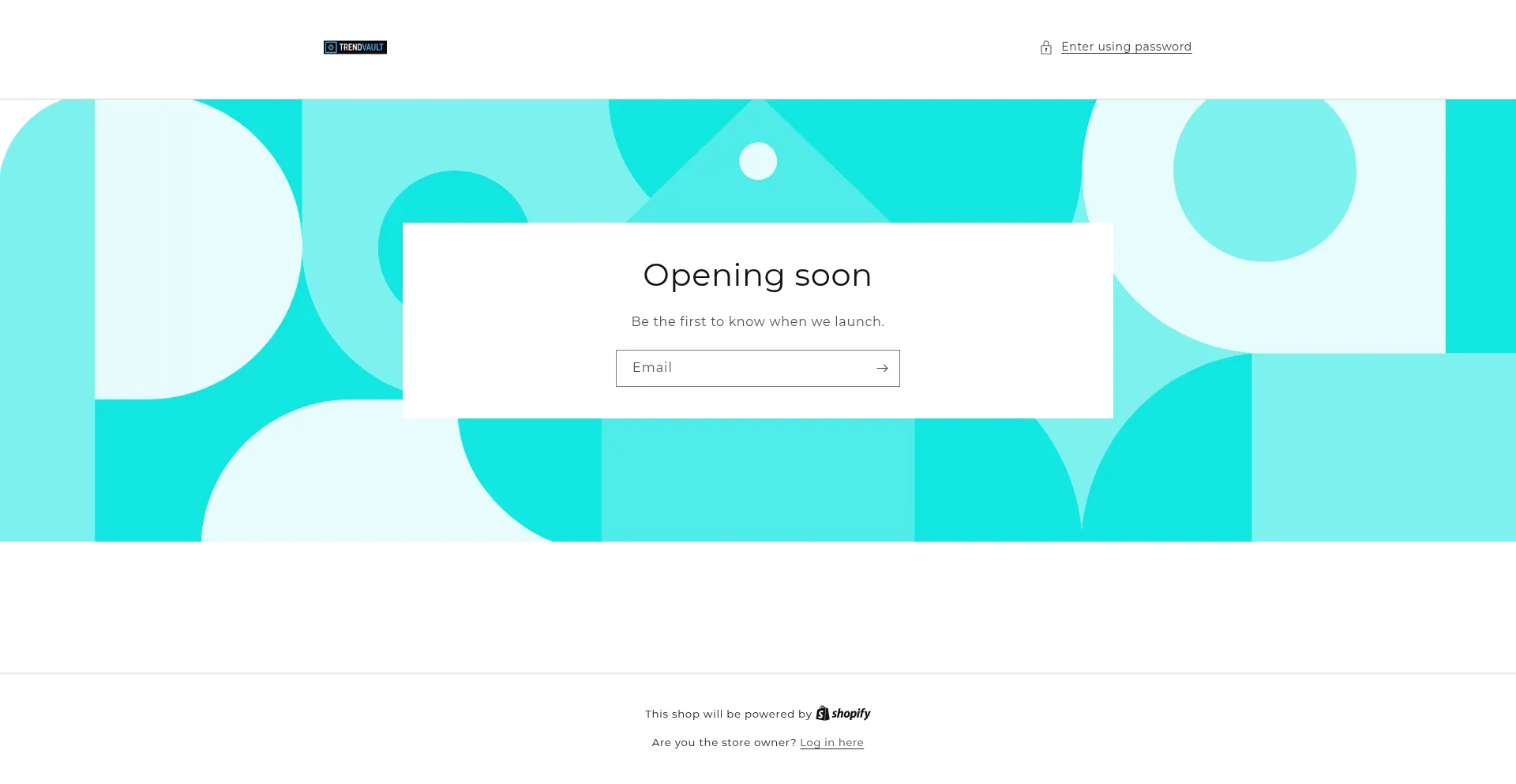 Website screenshot of Trendvlt.com