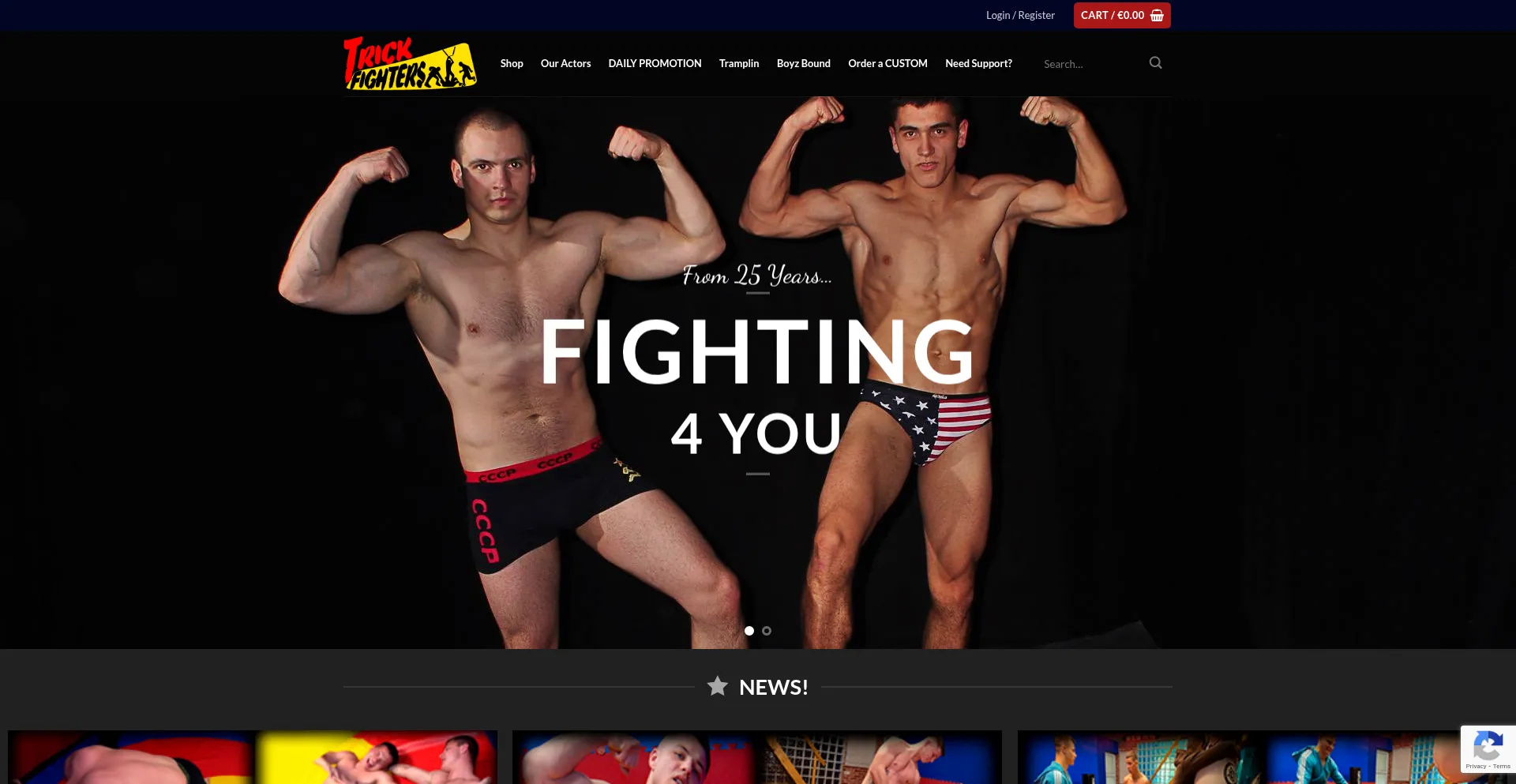 Website screenshot of Trickfighters.com