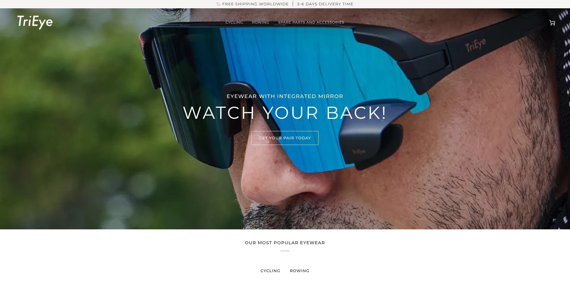 Website screenshot of Trieye.com