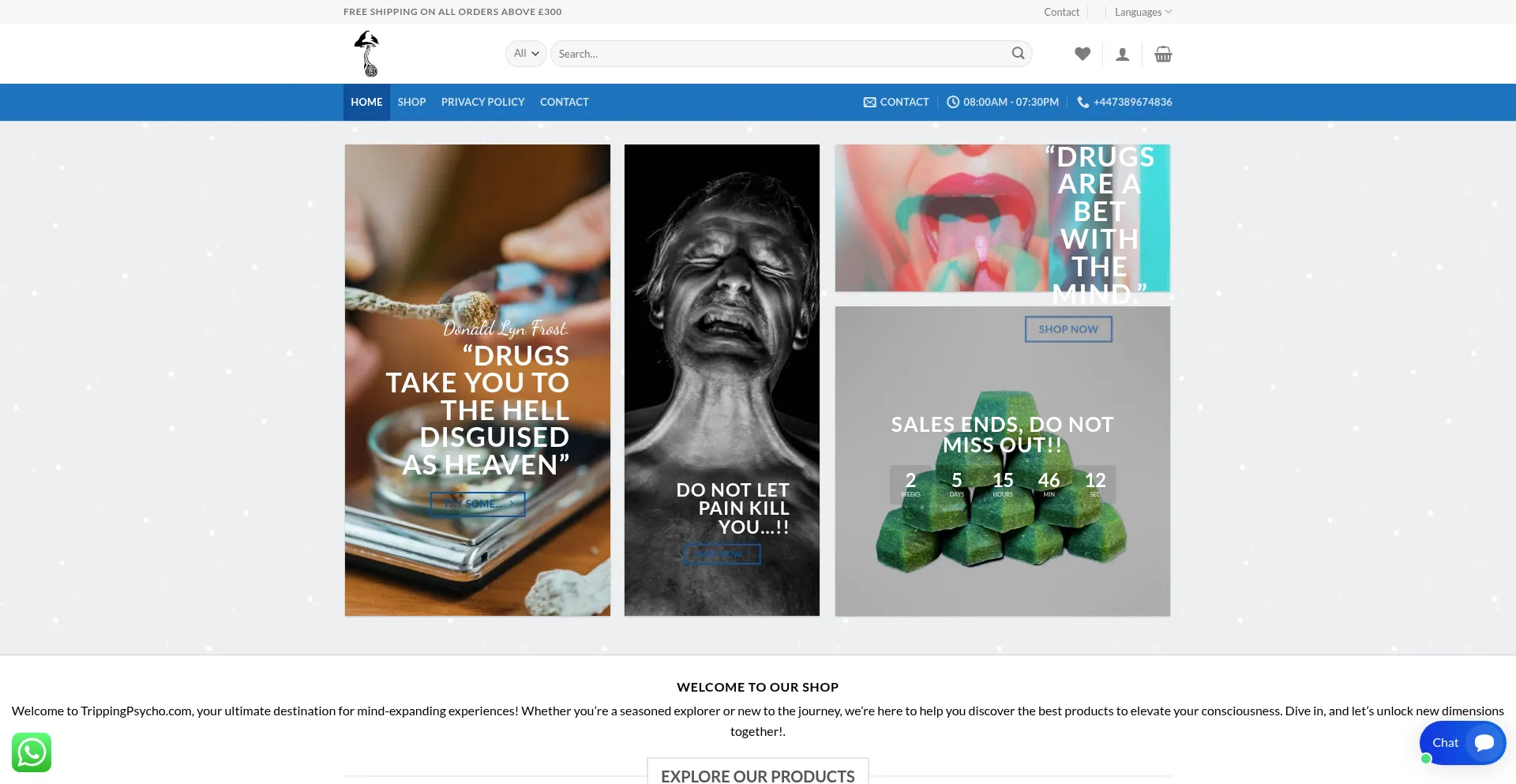 Website screenshot of Trippingpsycho.com